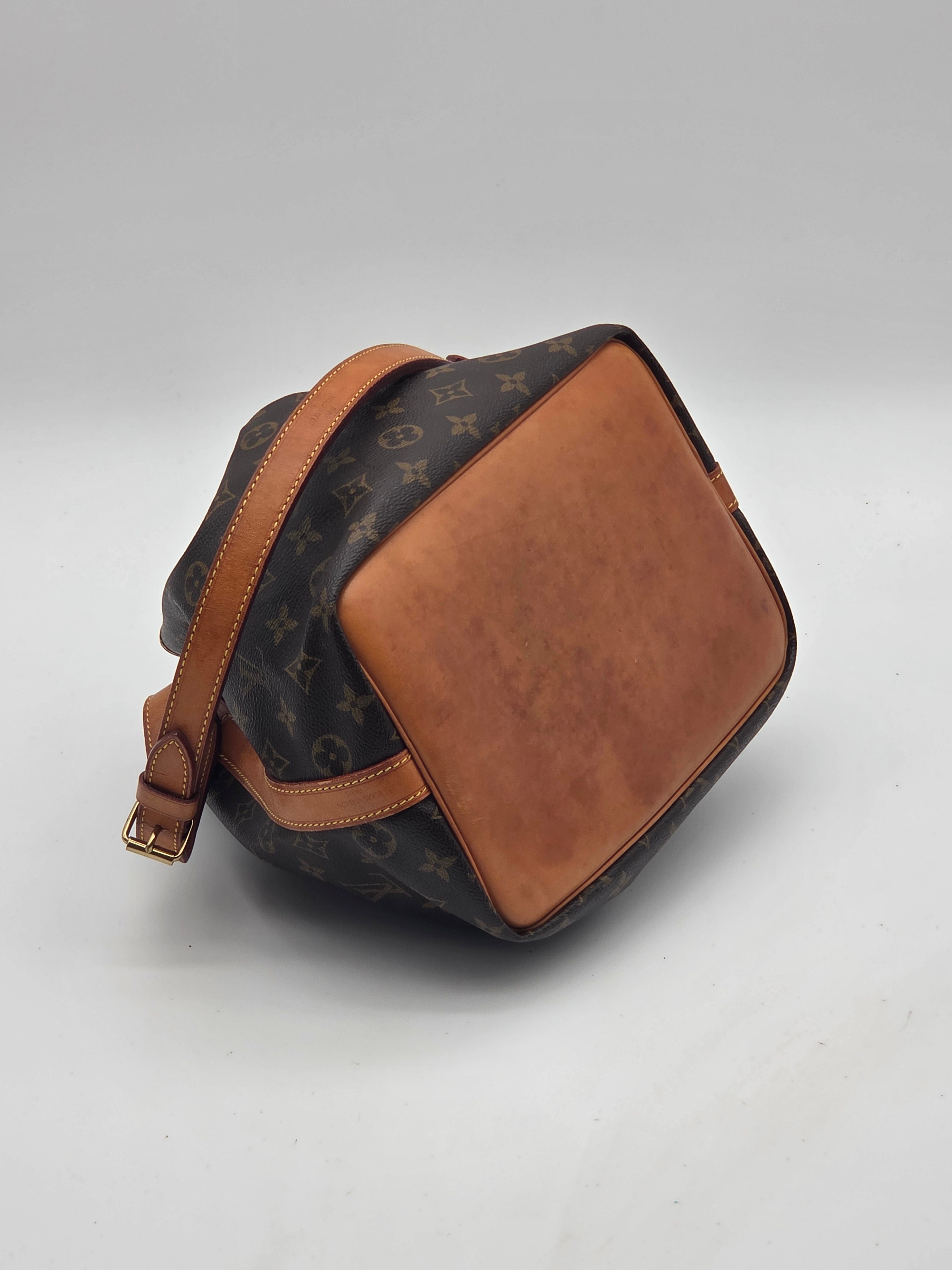 Petit Noé