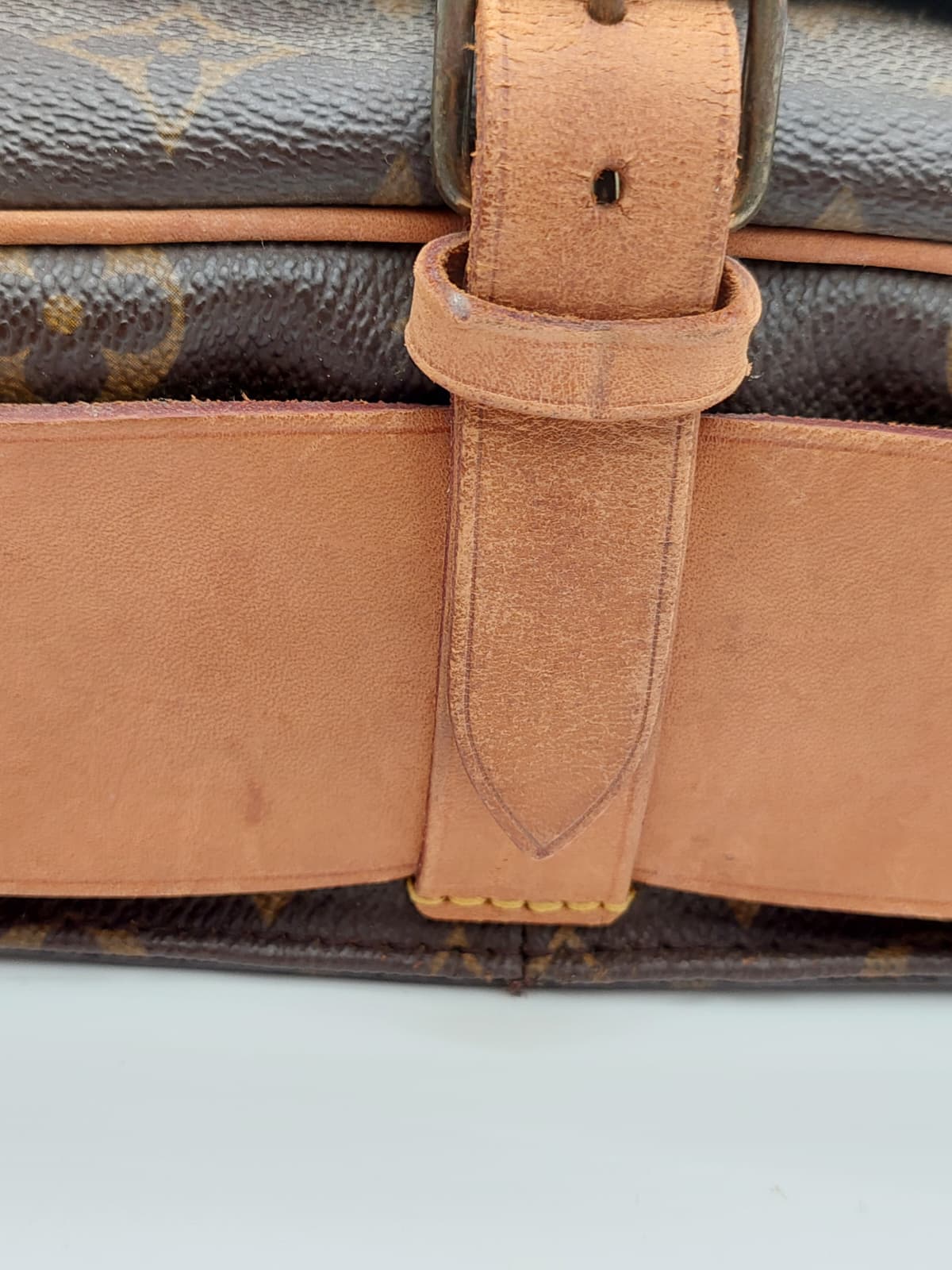 Louis Vuitton Cartouchiere GM