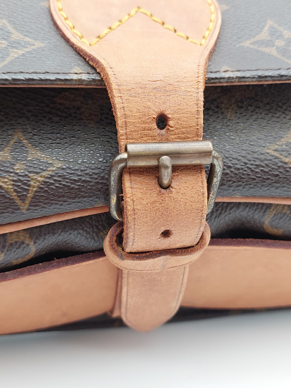Louis Vuitton Cartouchiere GM