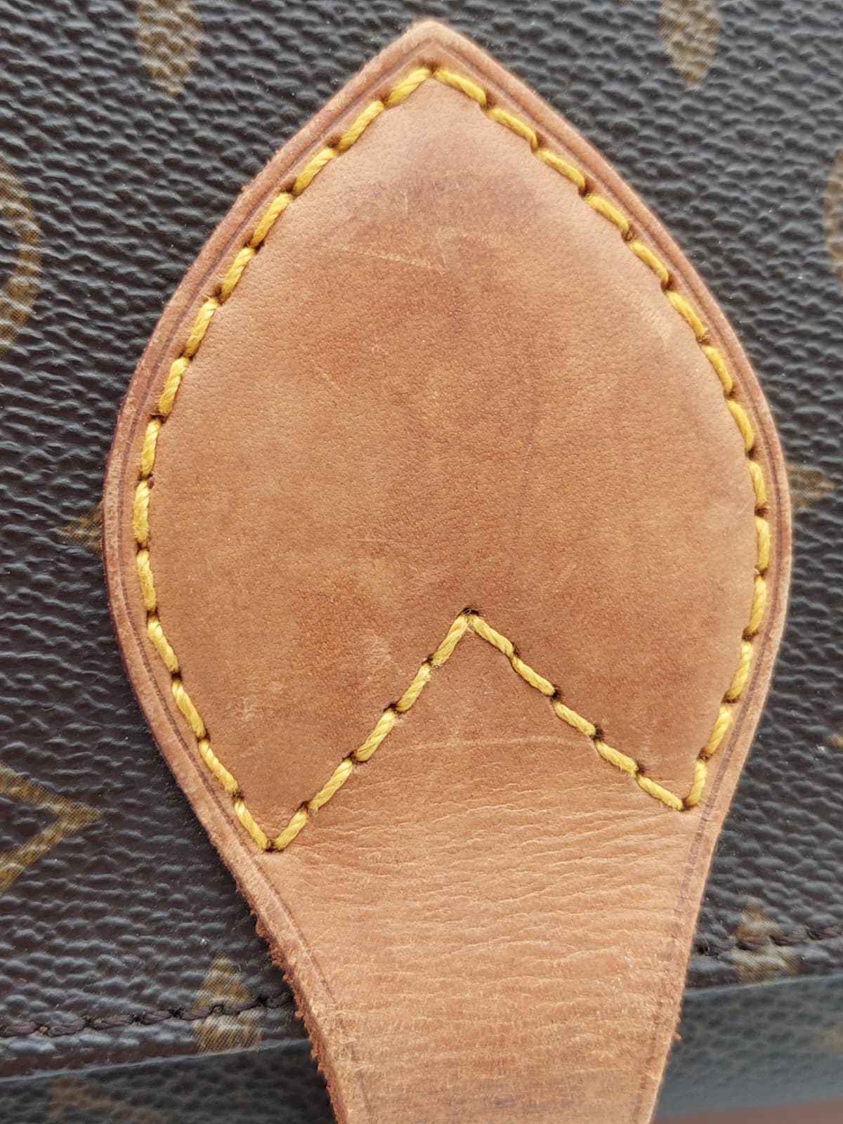 Louis Vuitton Cartouchiere GM
