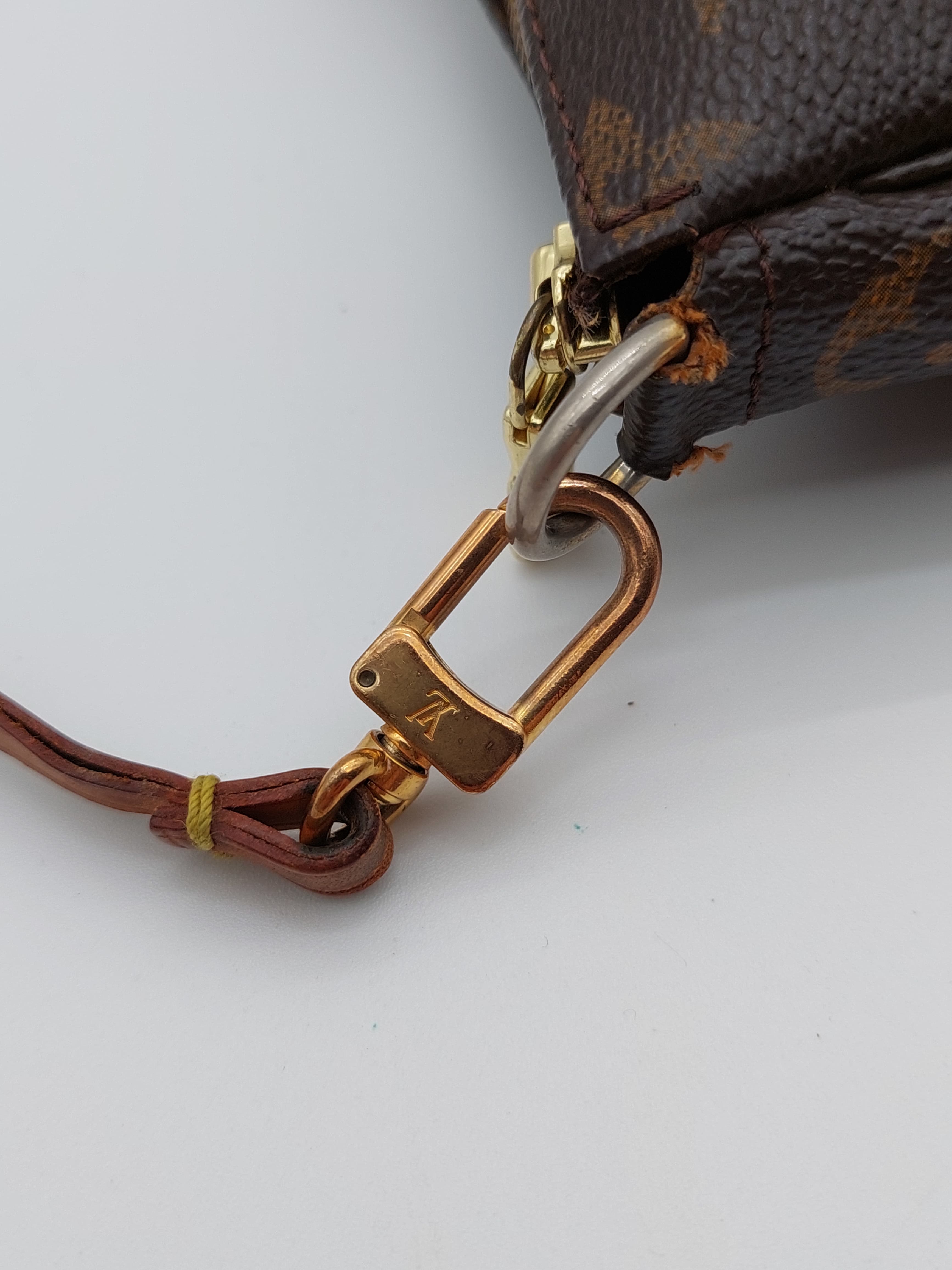 Louis Vuitton Pochette Accessoires