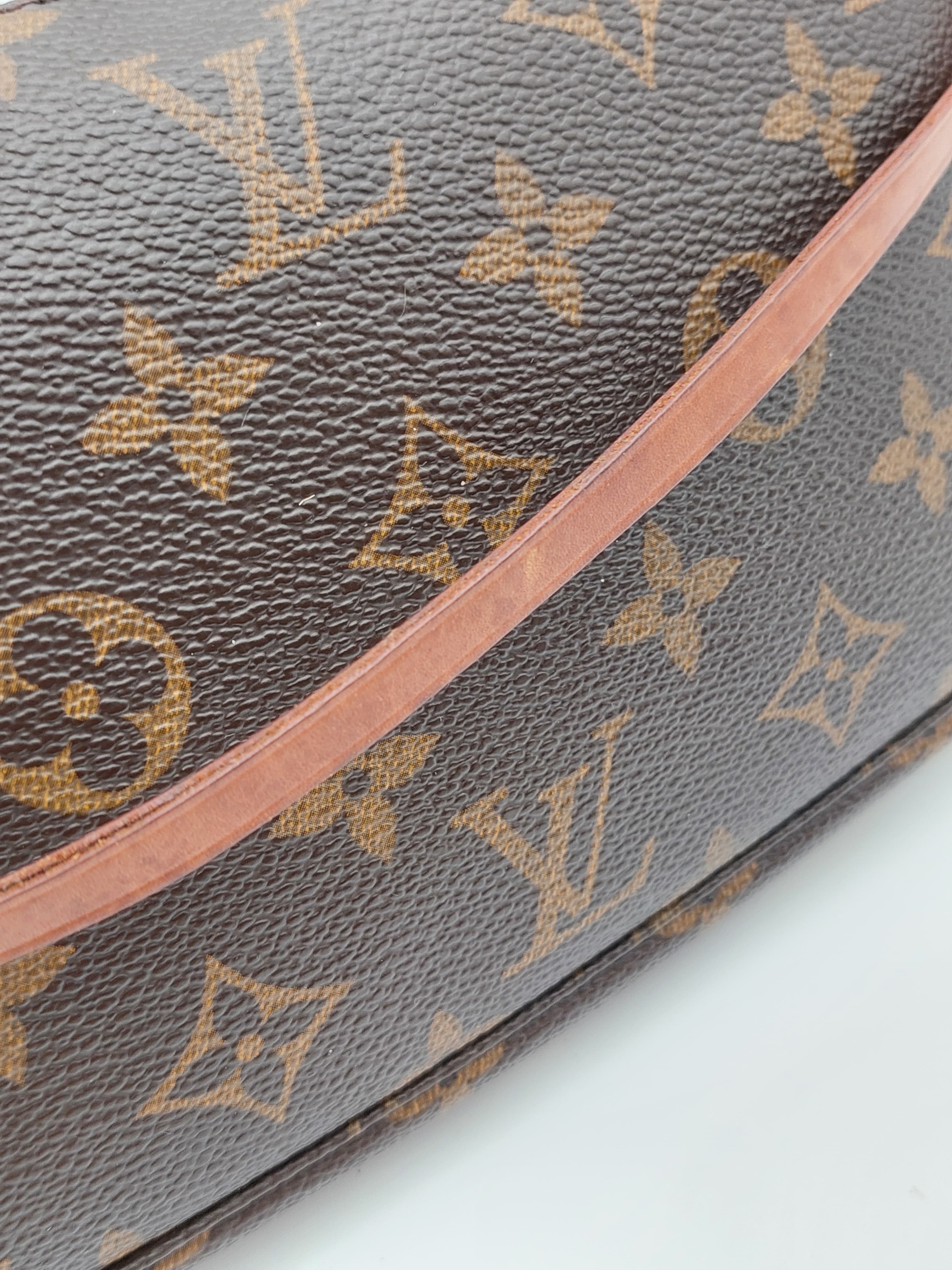 Louis Vuitton Pochette Accessoires