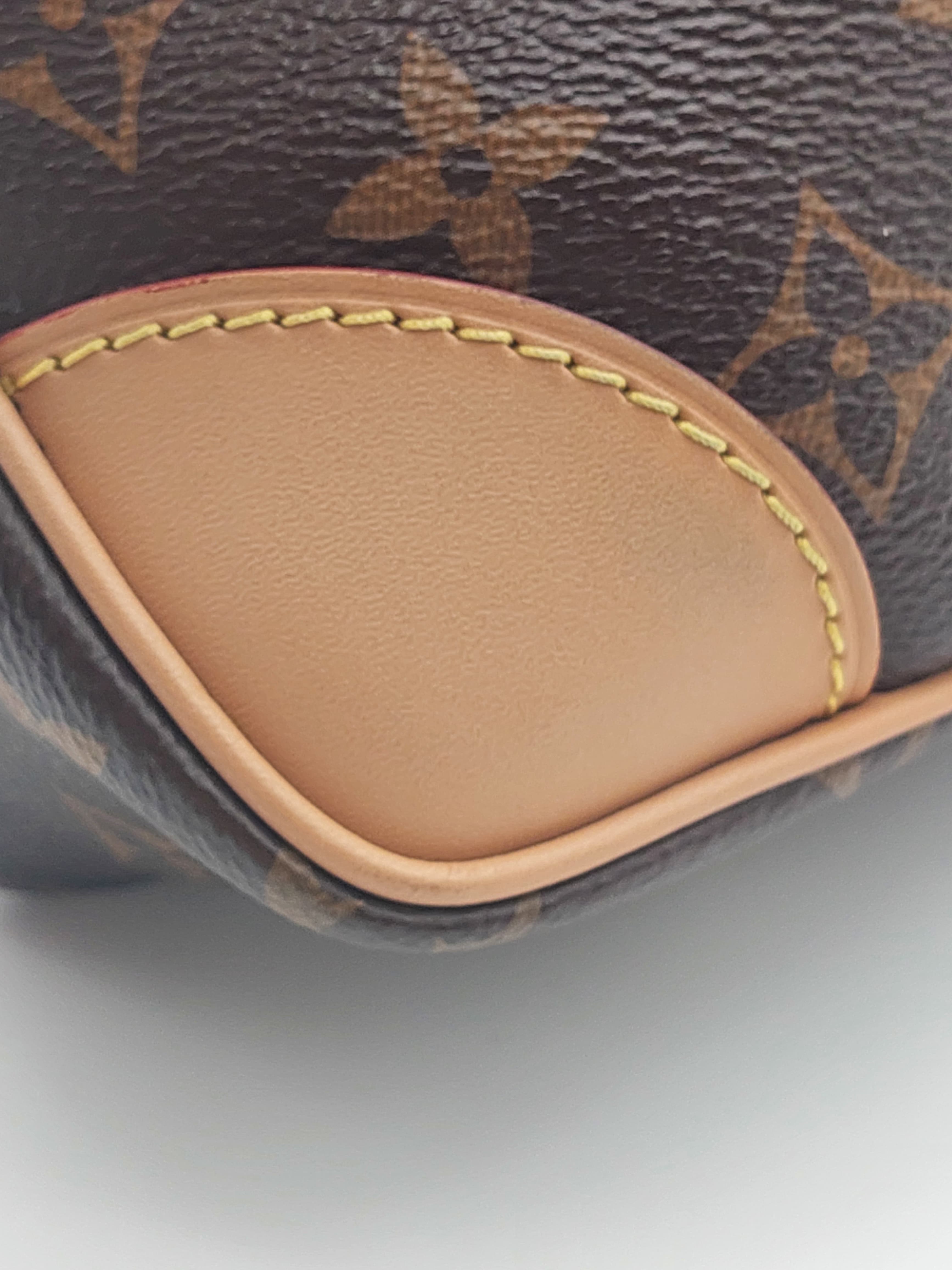 Louis Vuitton Odeon PM