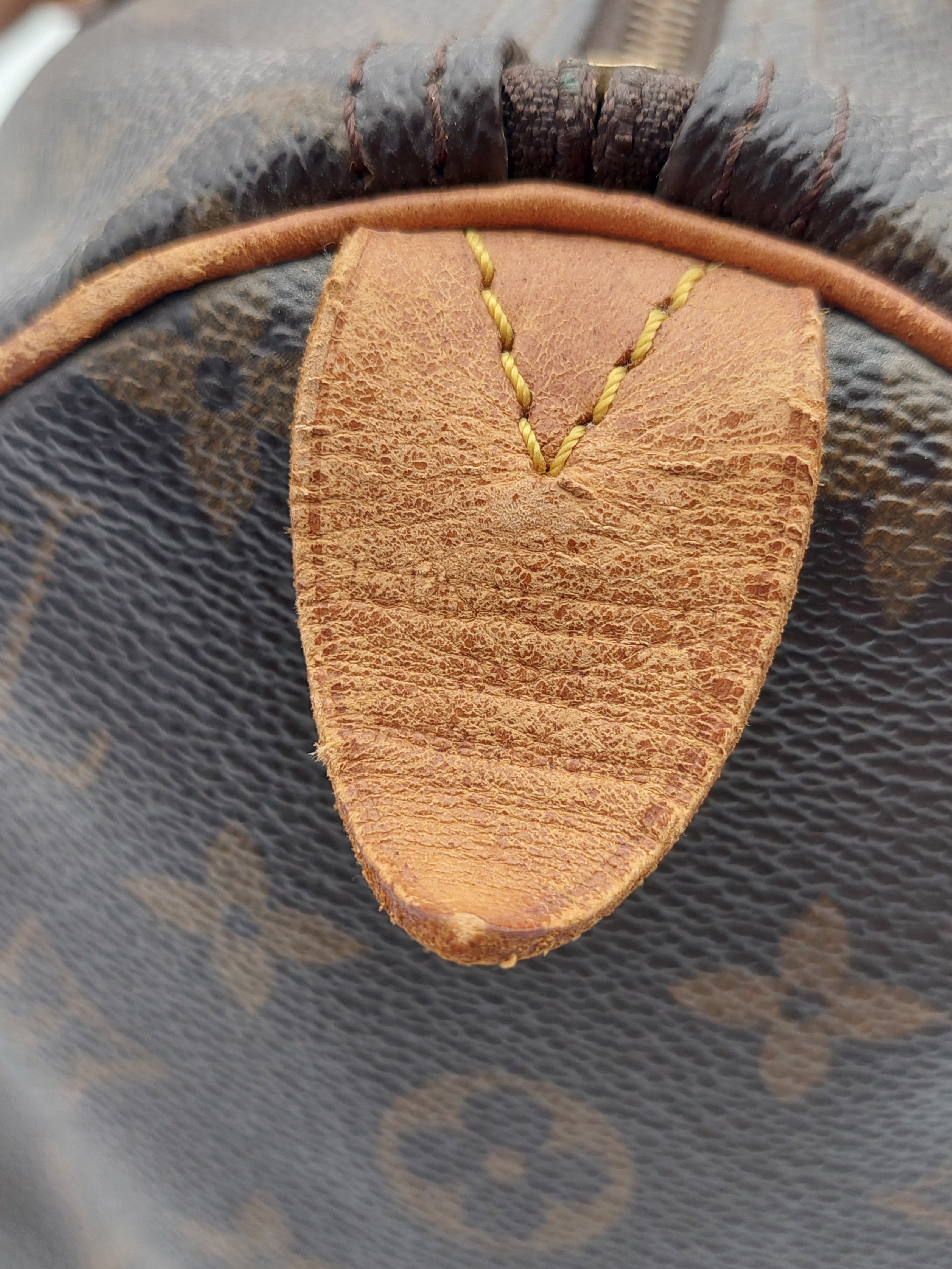 Louis Vuitton Speedy 30