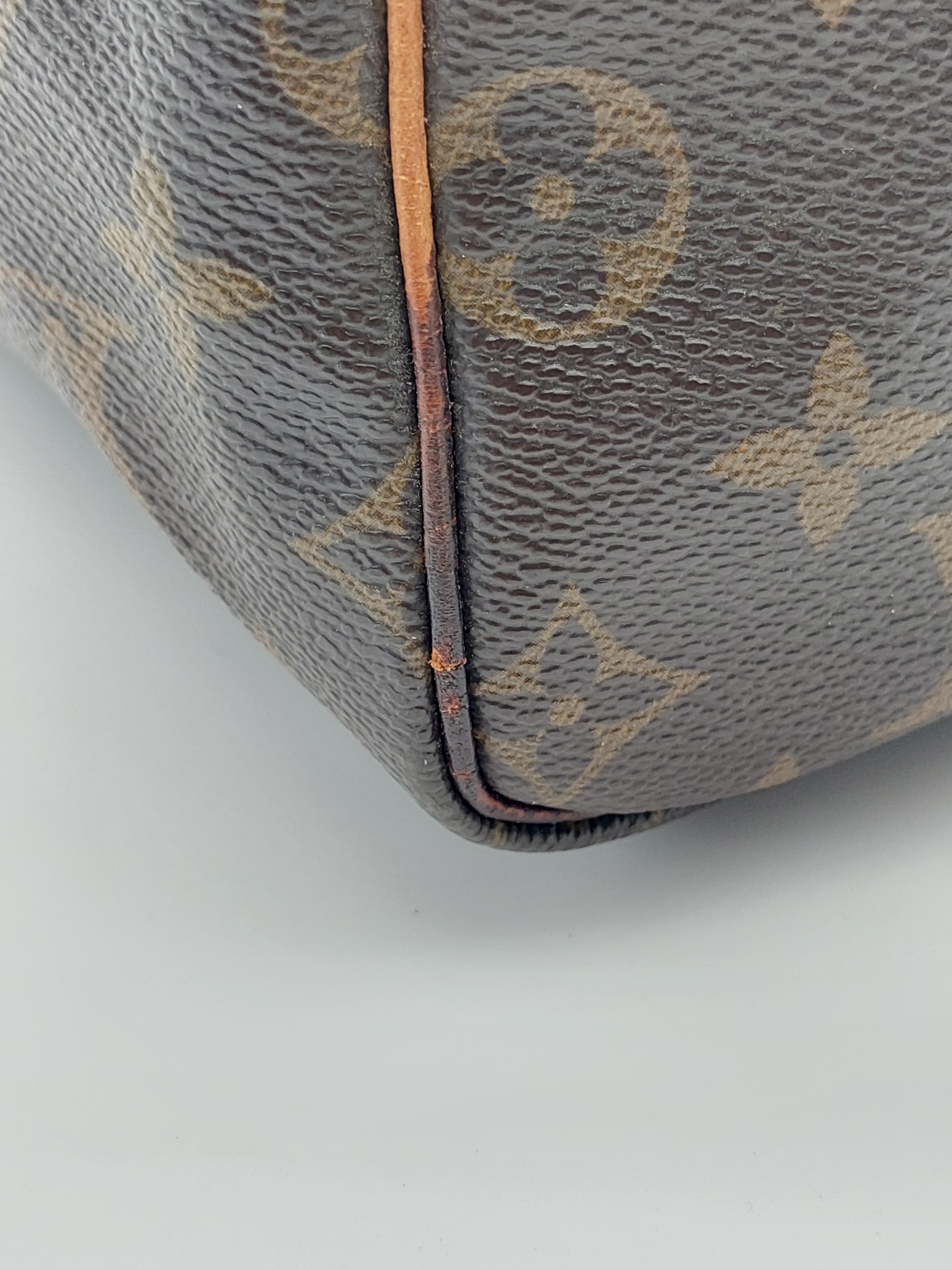 Louis Vuitton Speedy 30