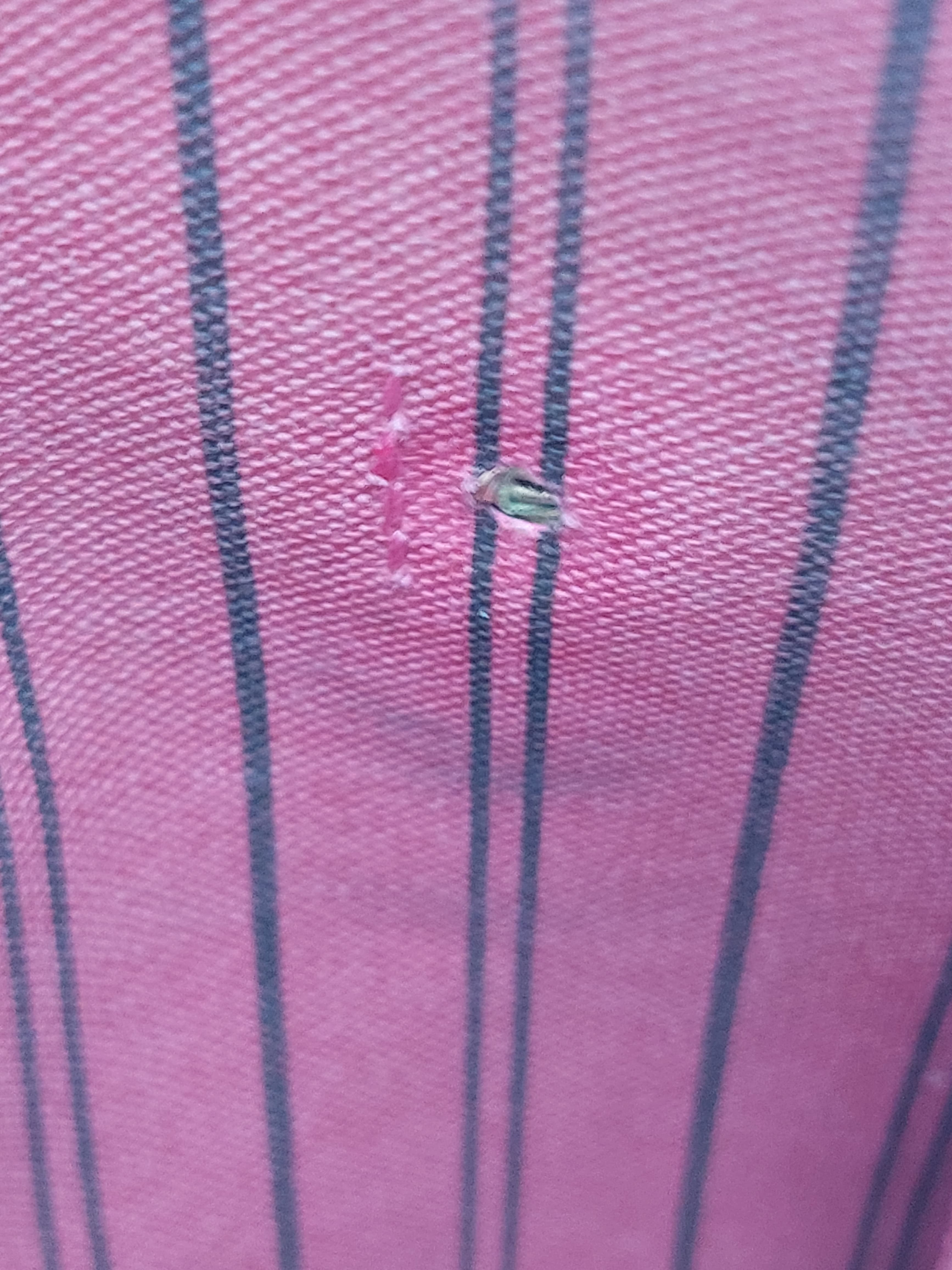 Neverfull MM Fuchsia