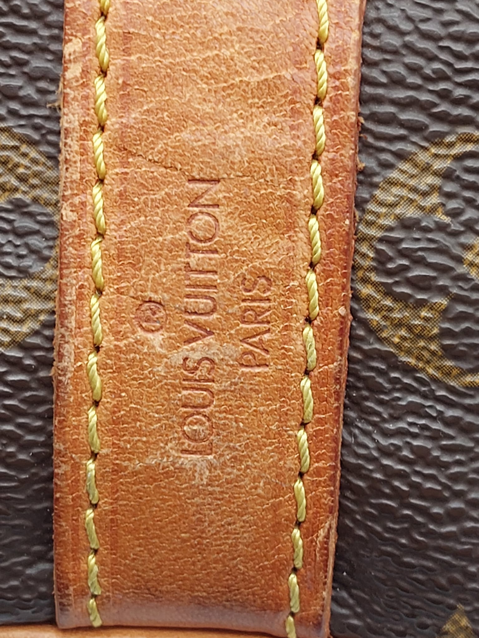 Petit Noé