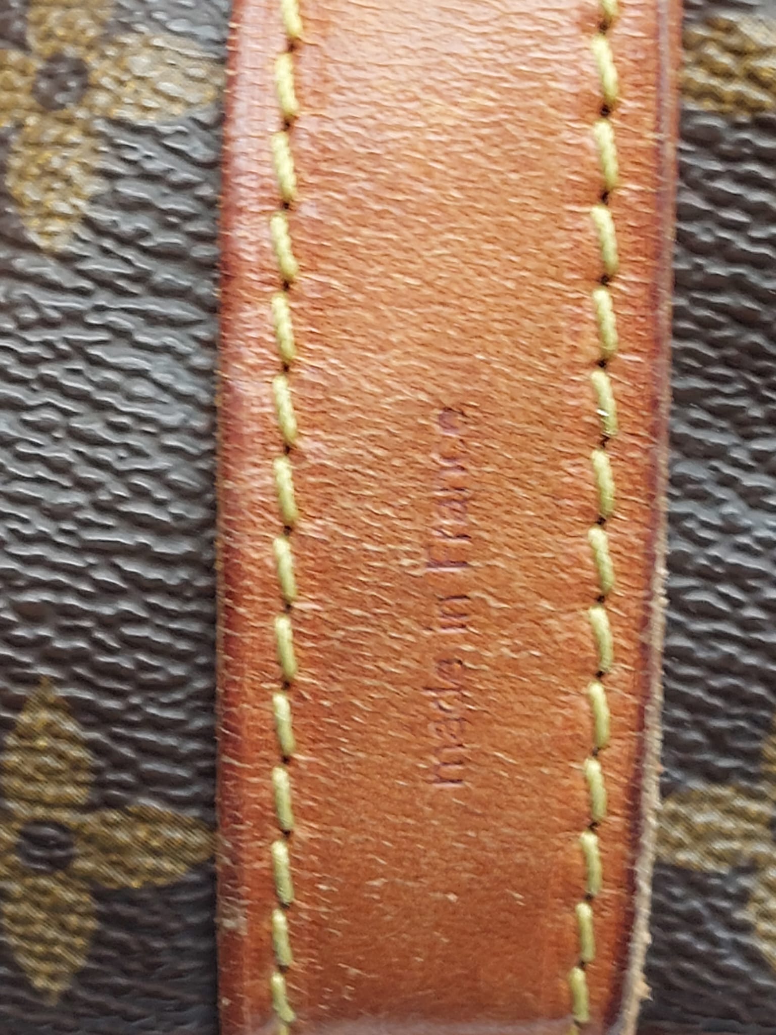 Petit Noé