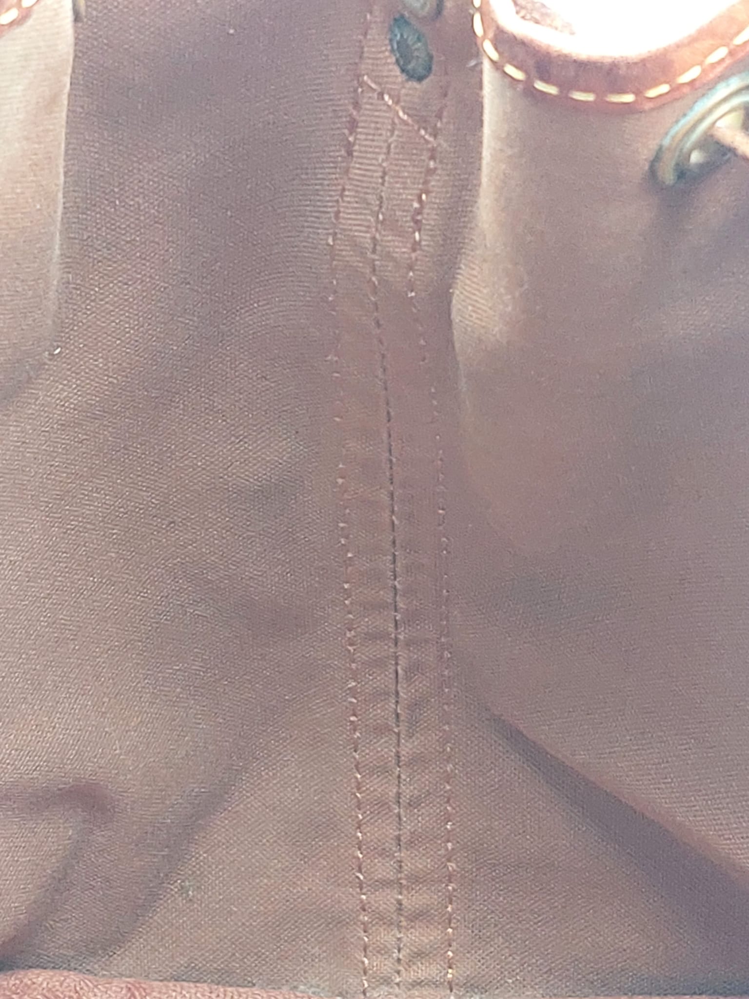 Petit Noé