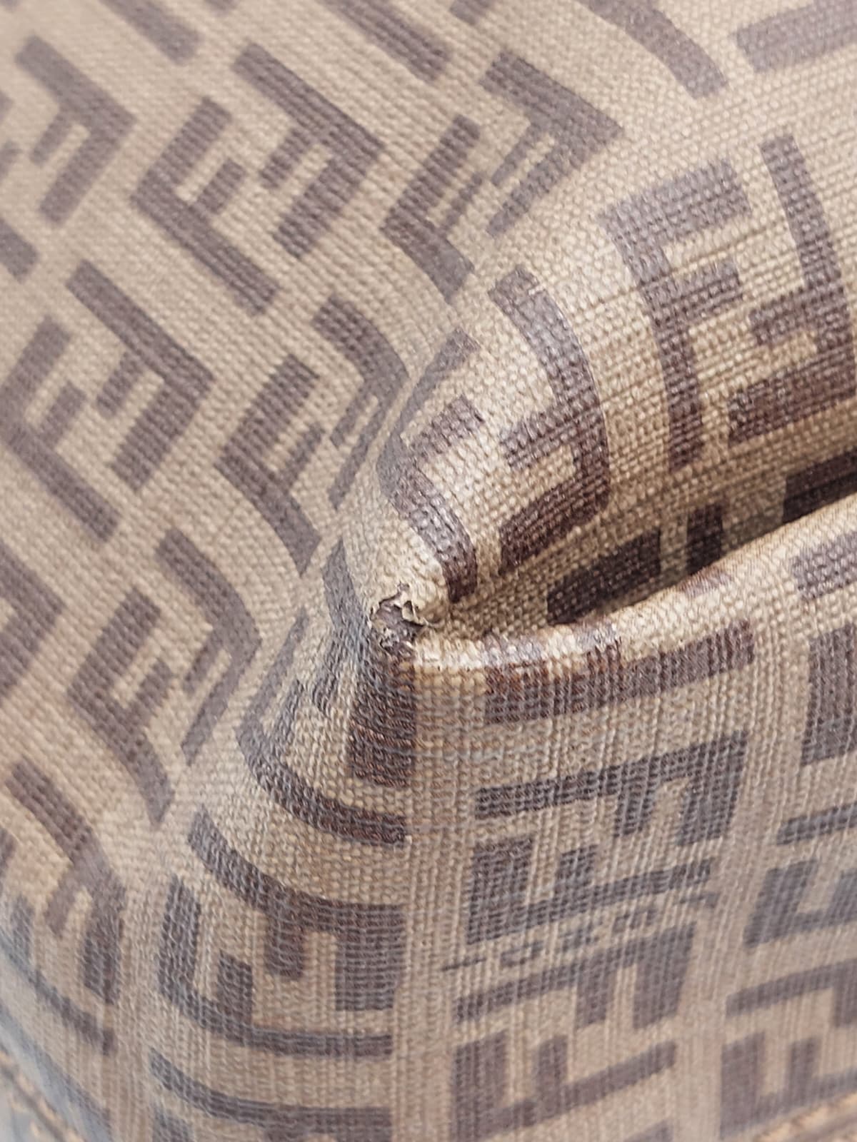 Zucca Tote Bag