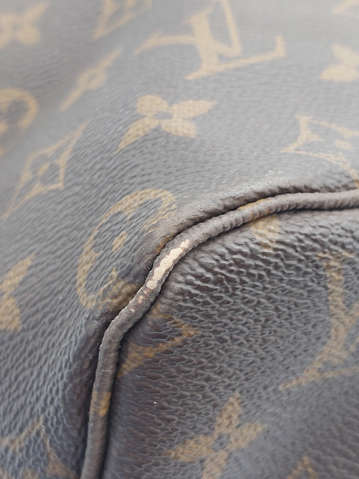Neverfull GM