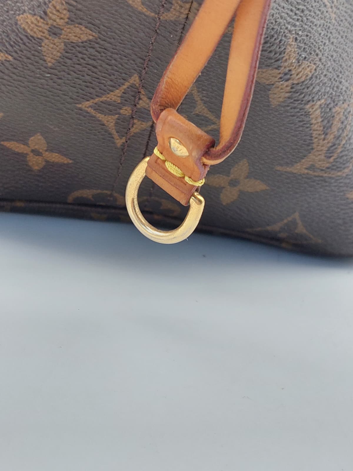 Neverfull GM