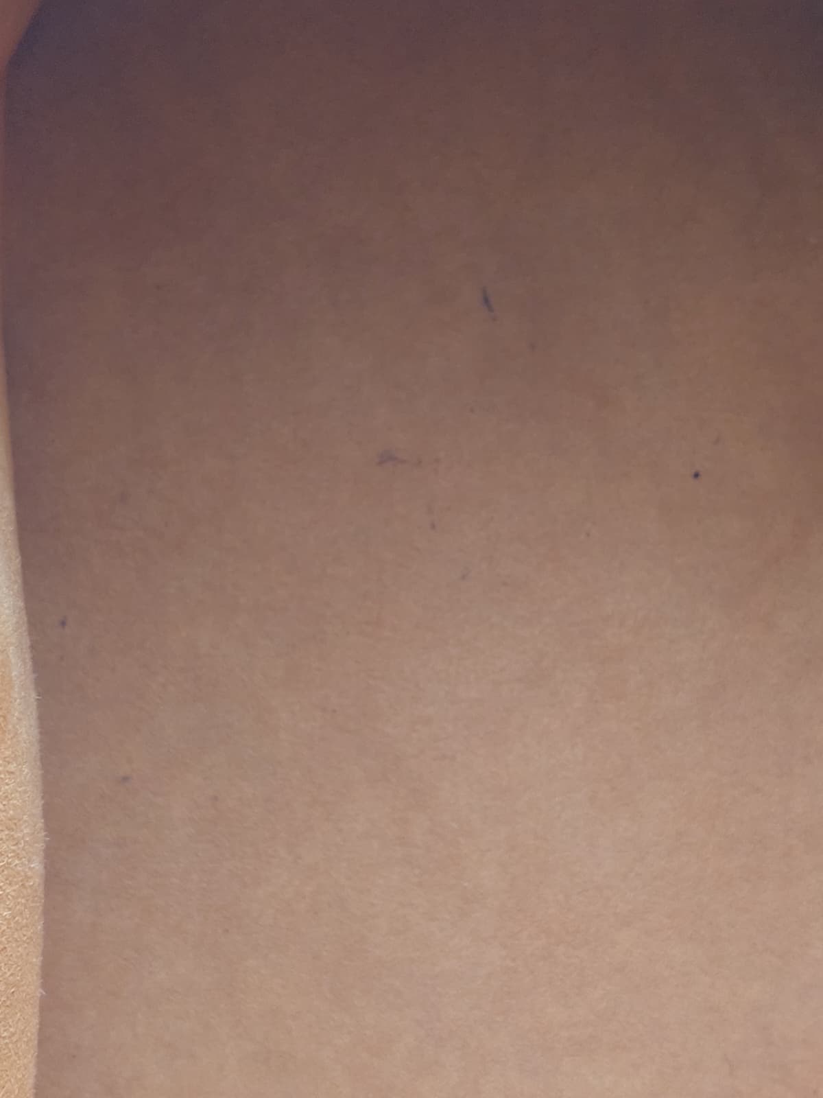 Petit Noé Epi Leather