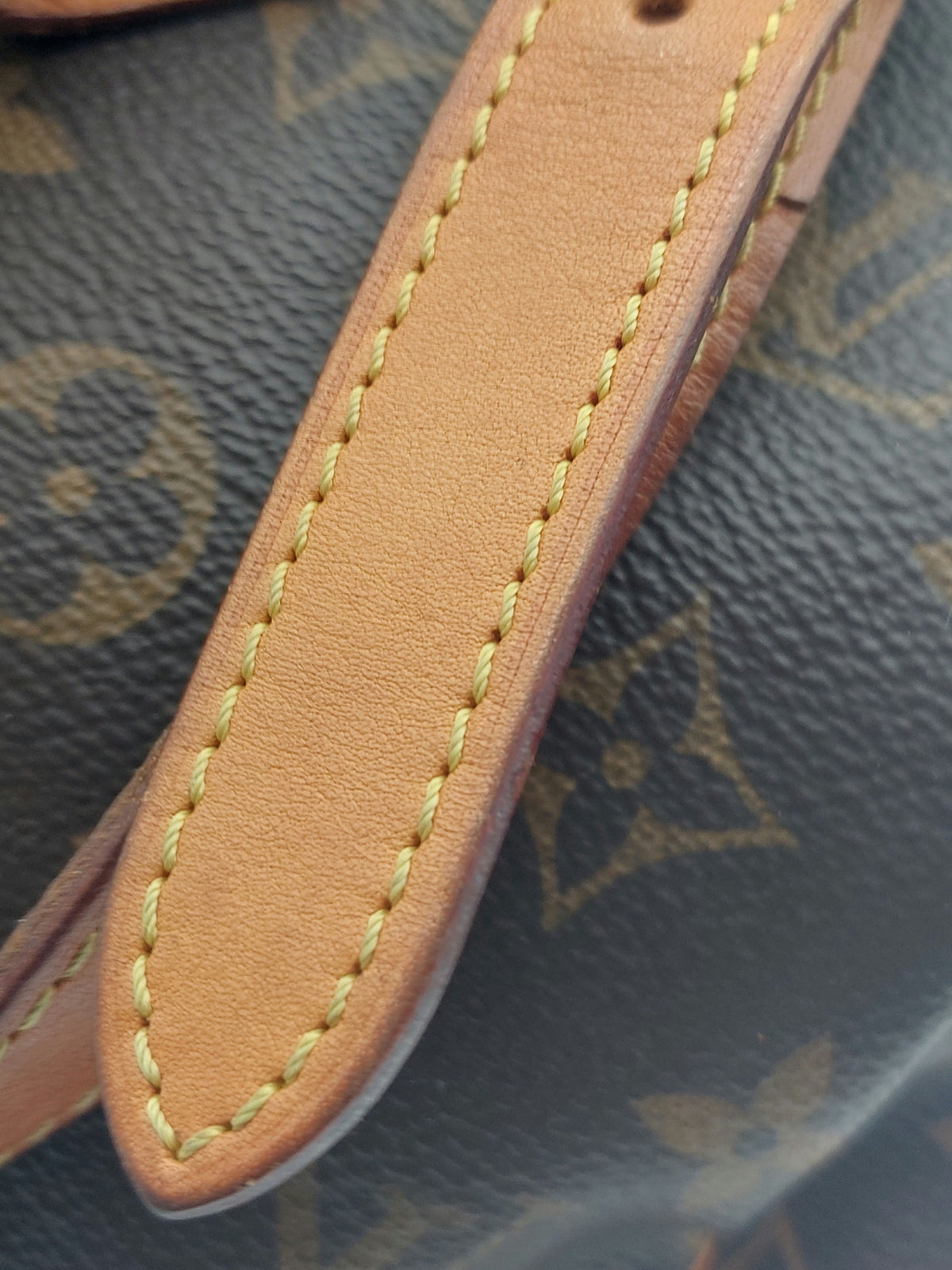 Speedy 30 Bandouliere