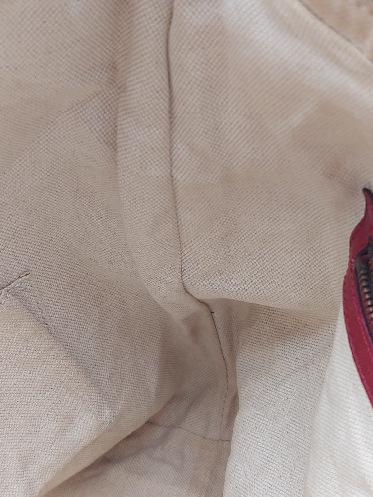 Gucci Miss GG Canvas