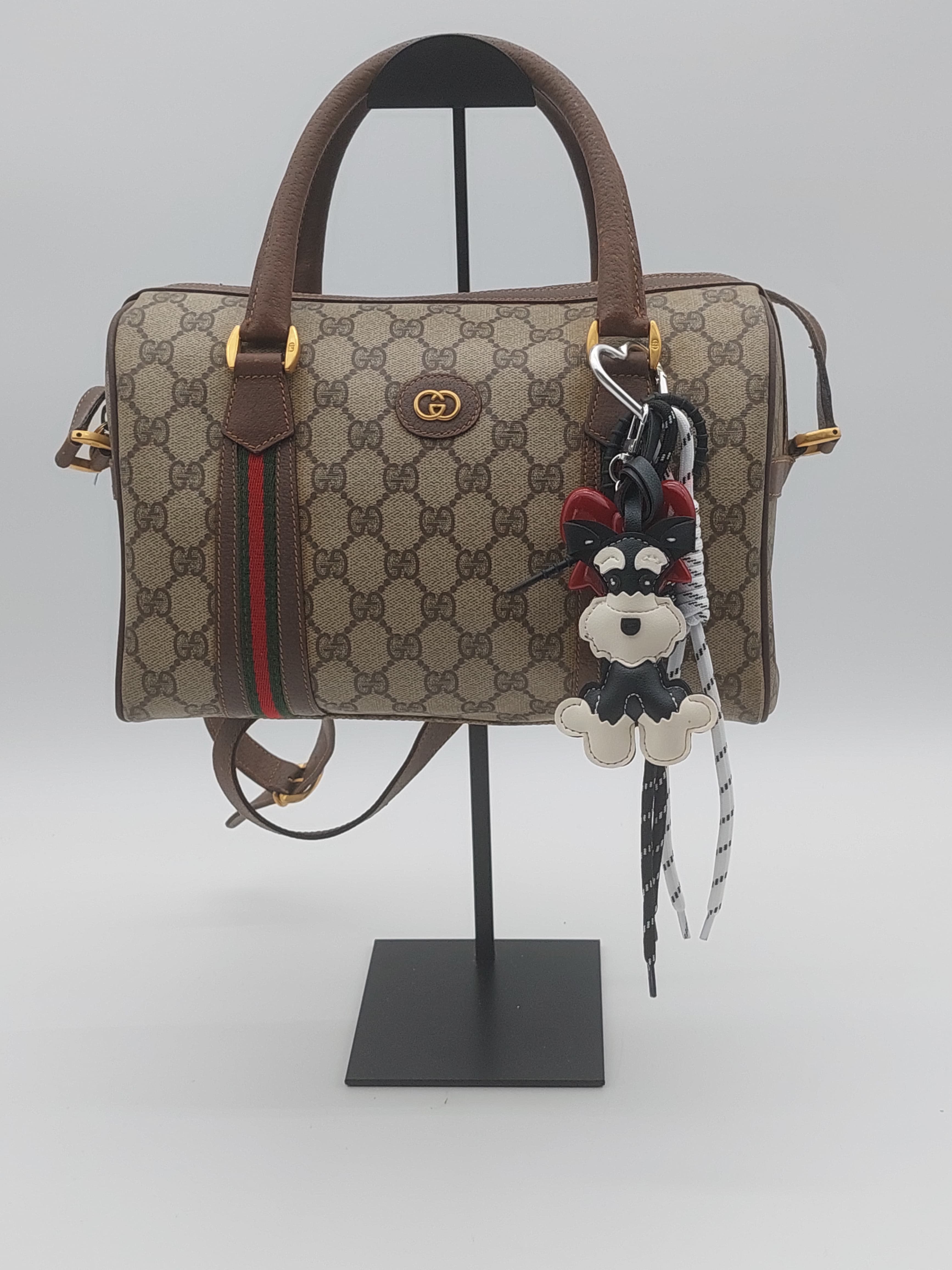 Bagcharm Dog