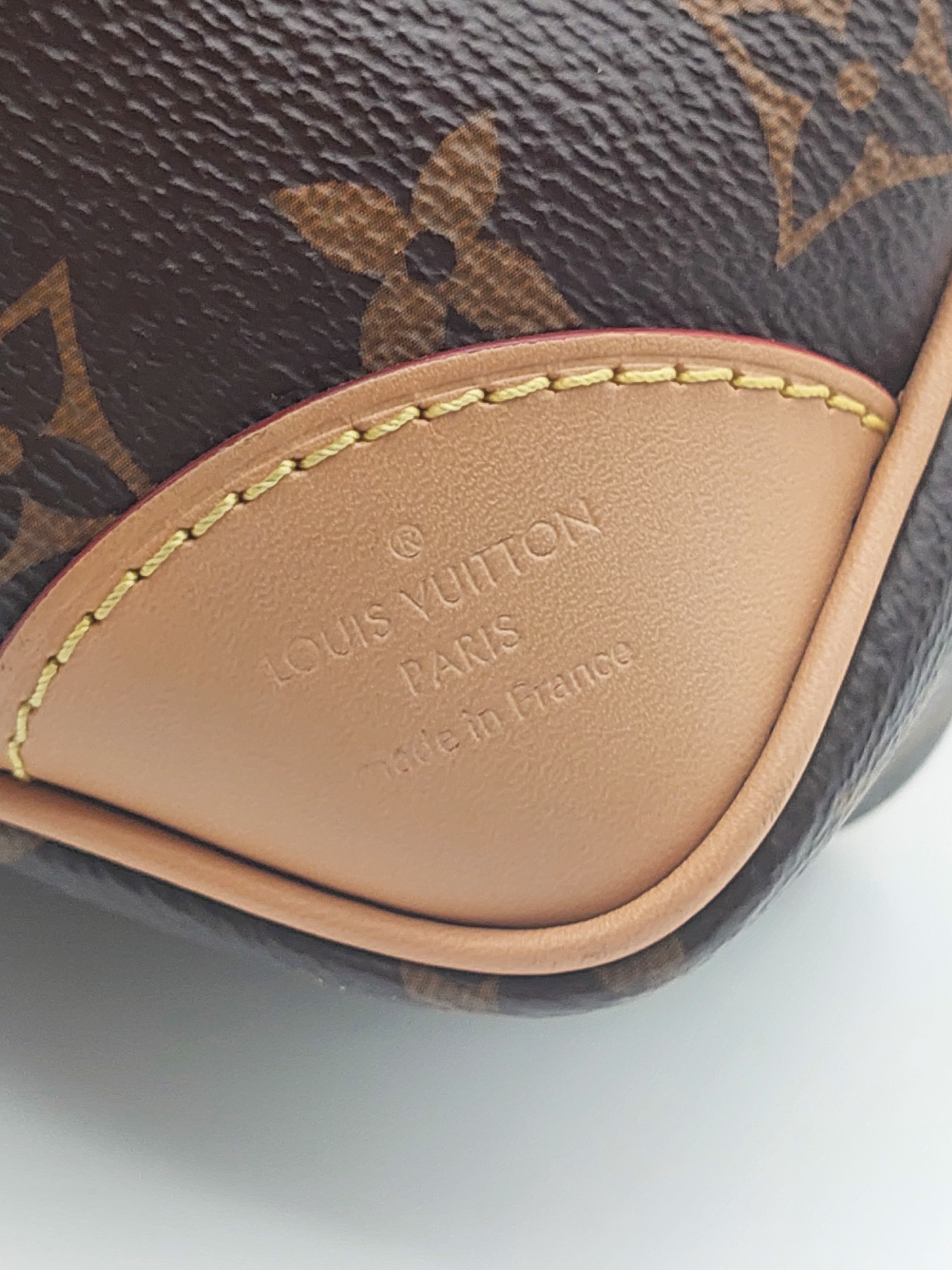 Louis Vuitton Odeon PM