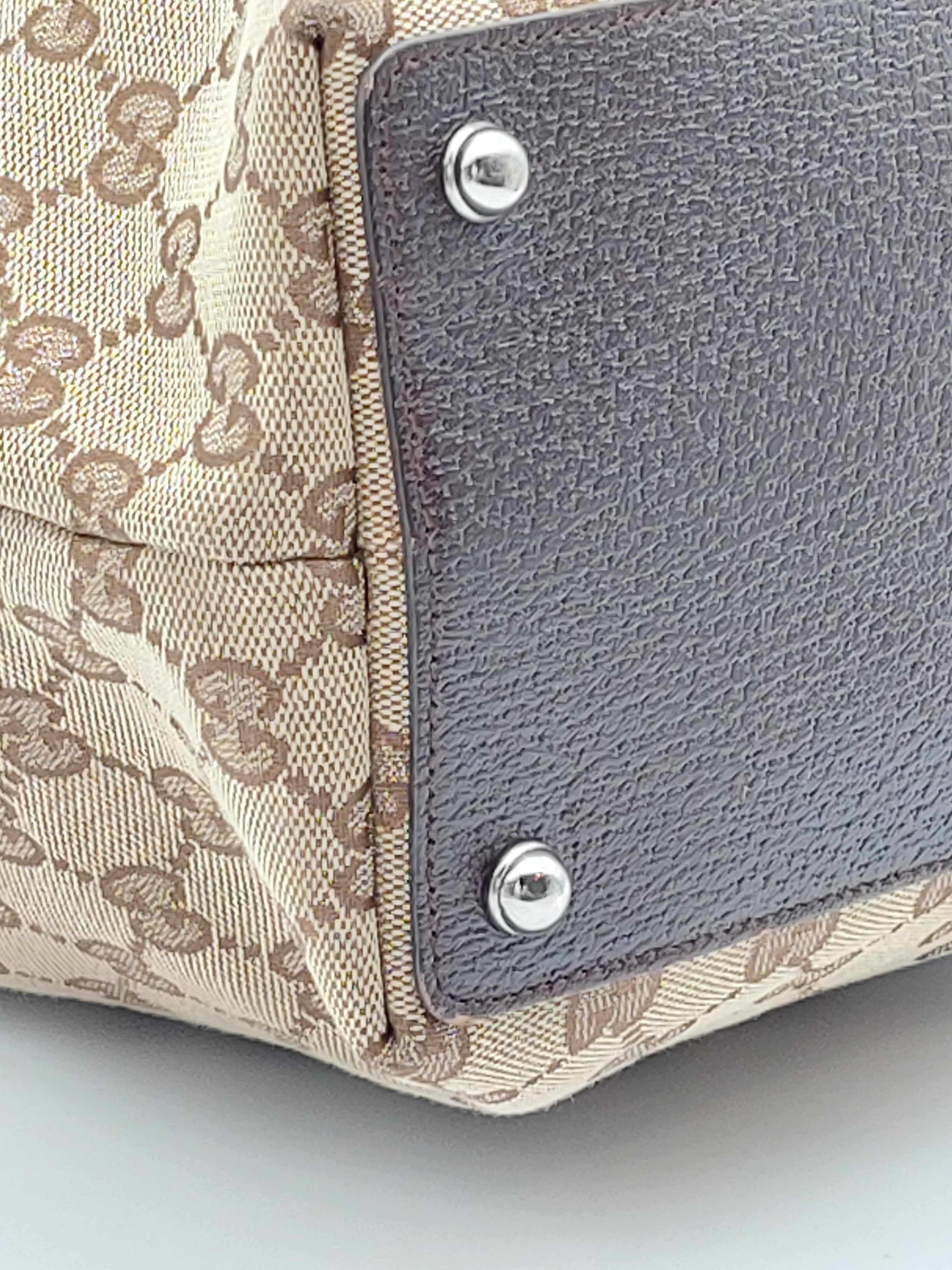 Eclipse Canvas Tote Bag