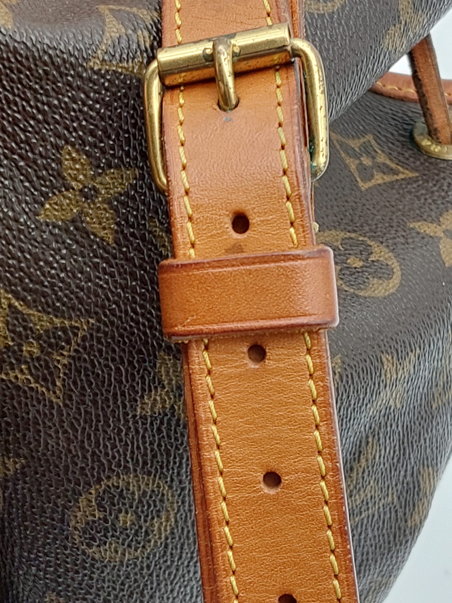 Petit Noé