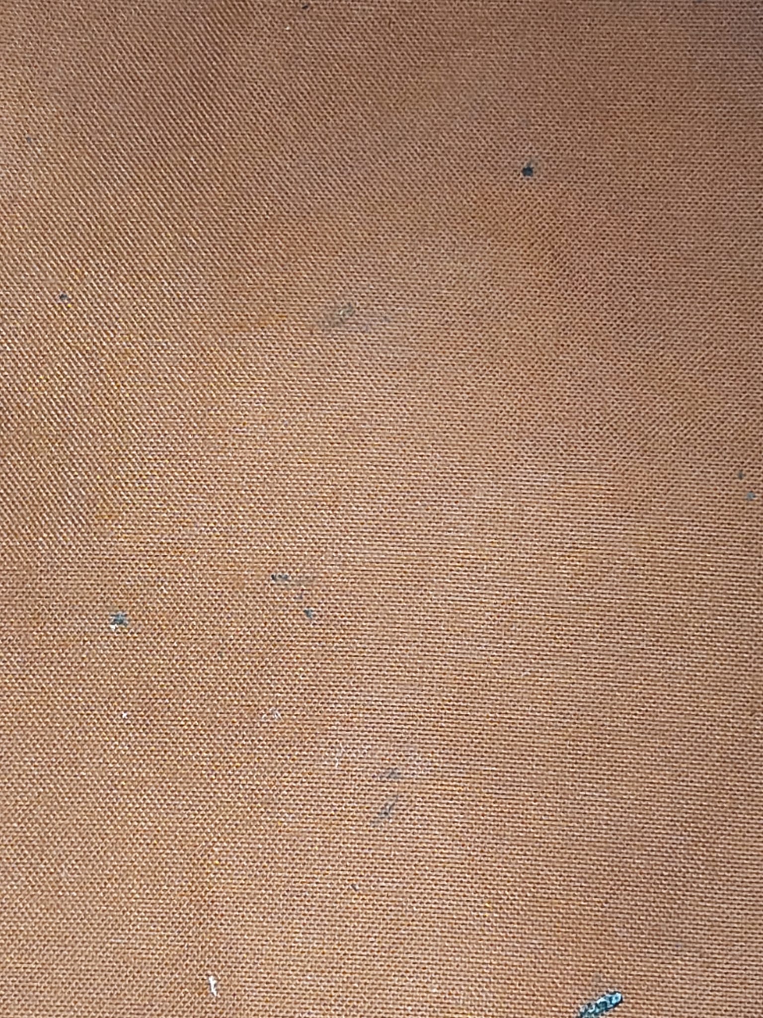 Petit Noé