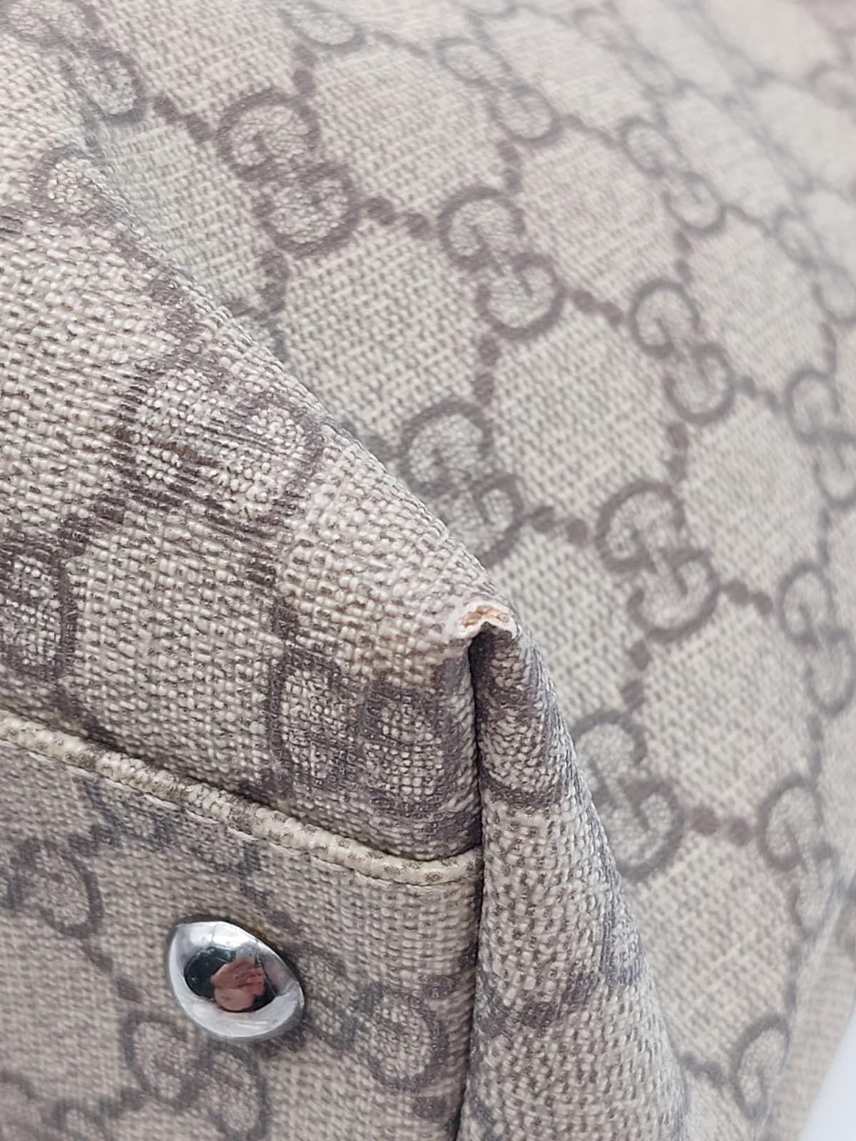 GG Tote bag