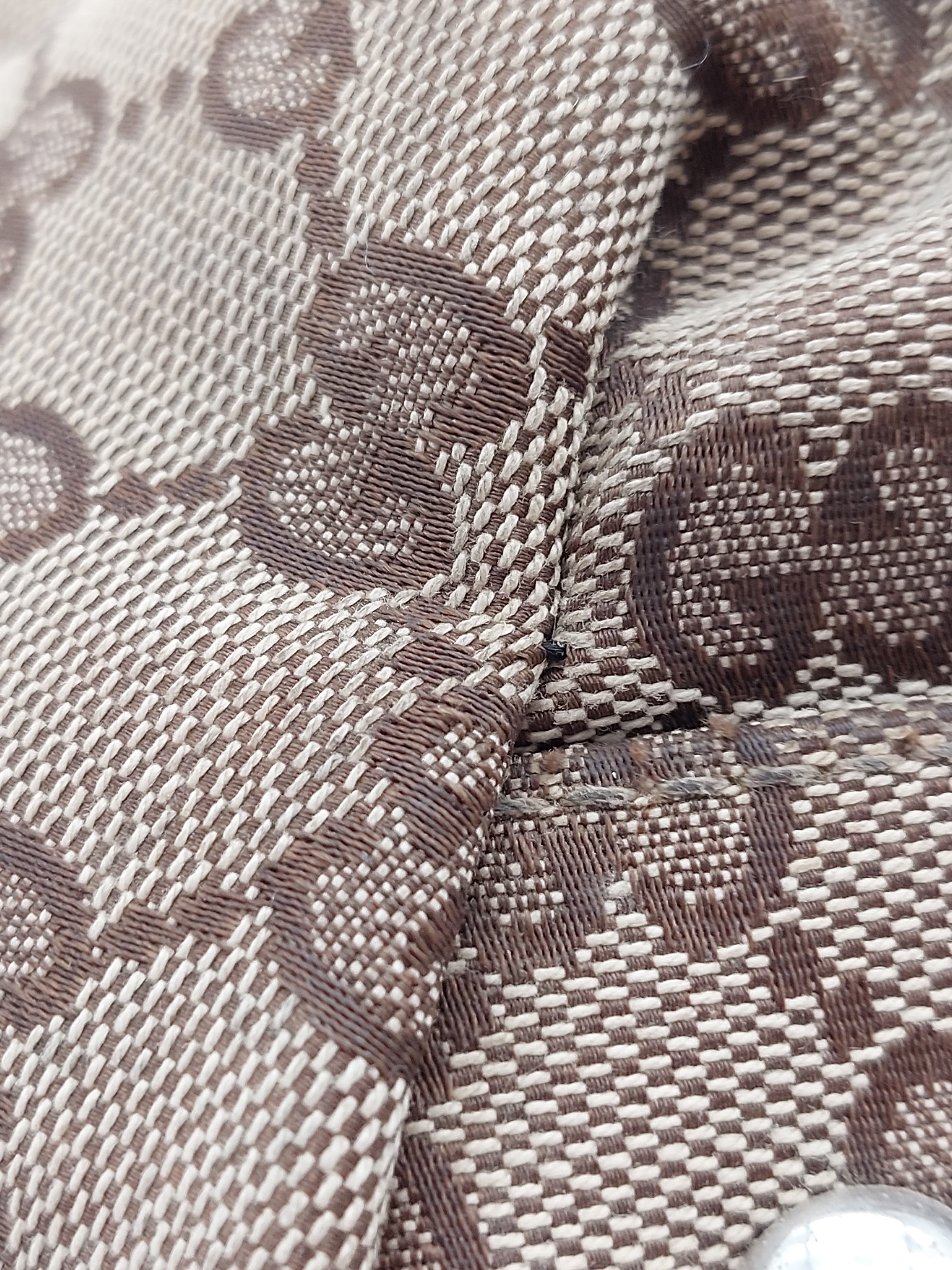 Sherry GG canvas