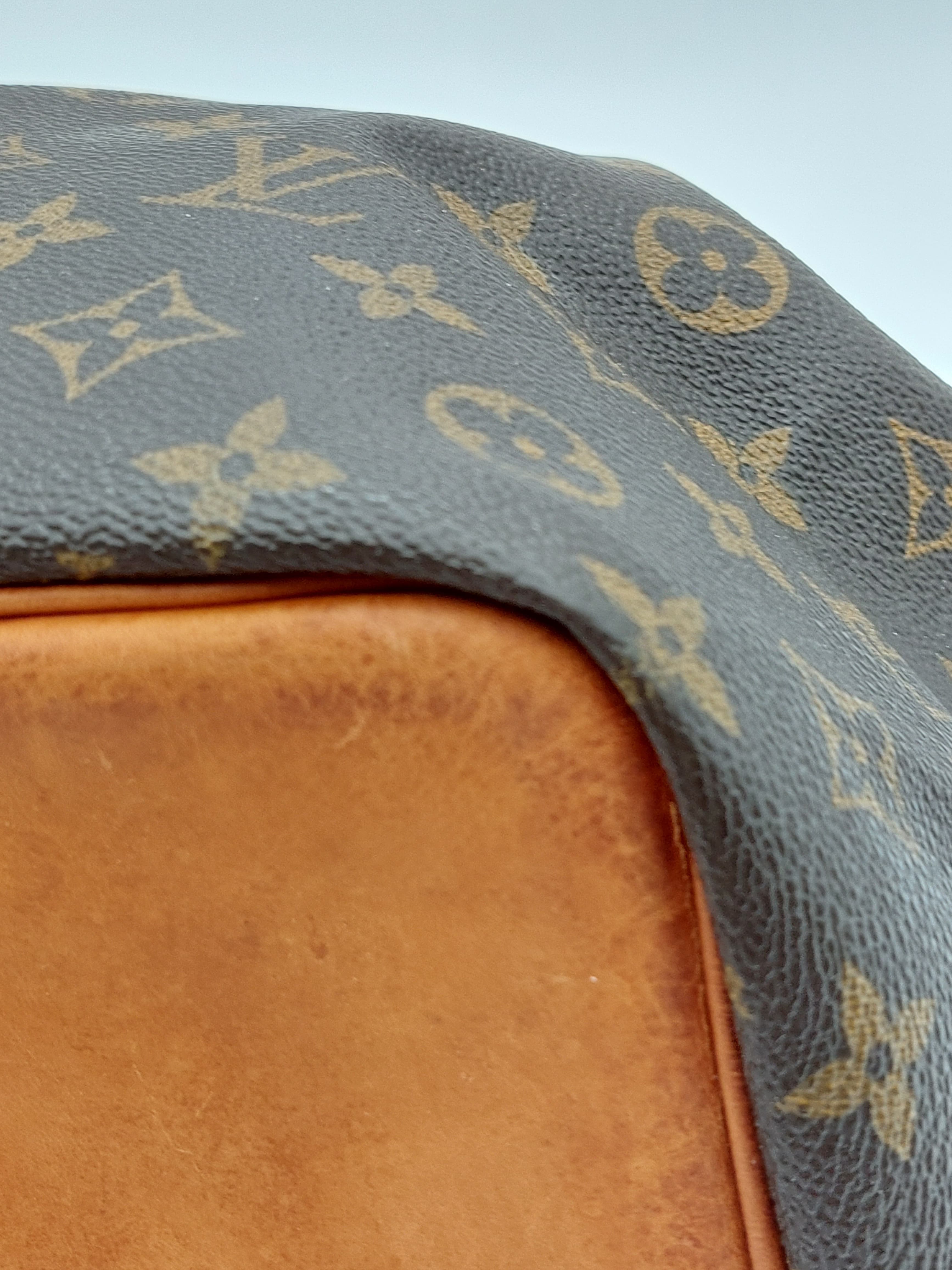 Petit Noé