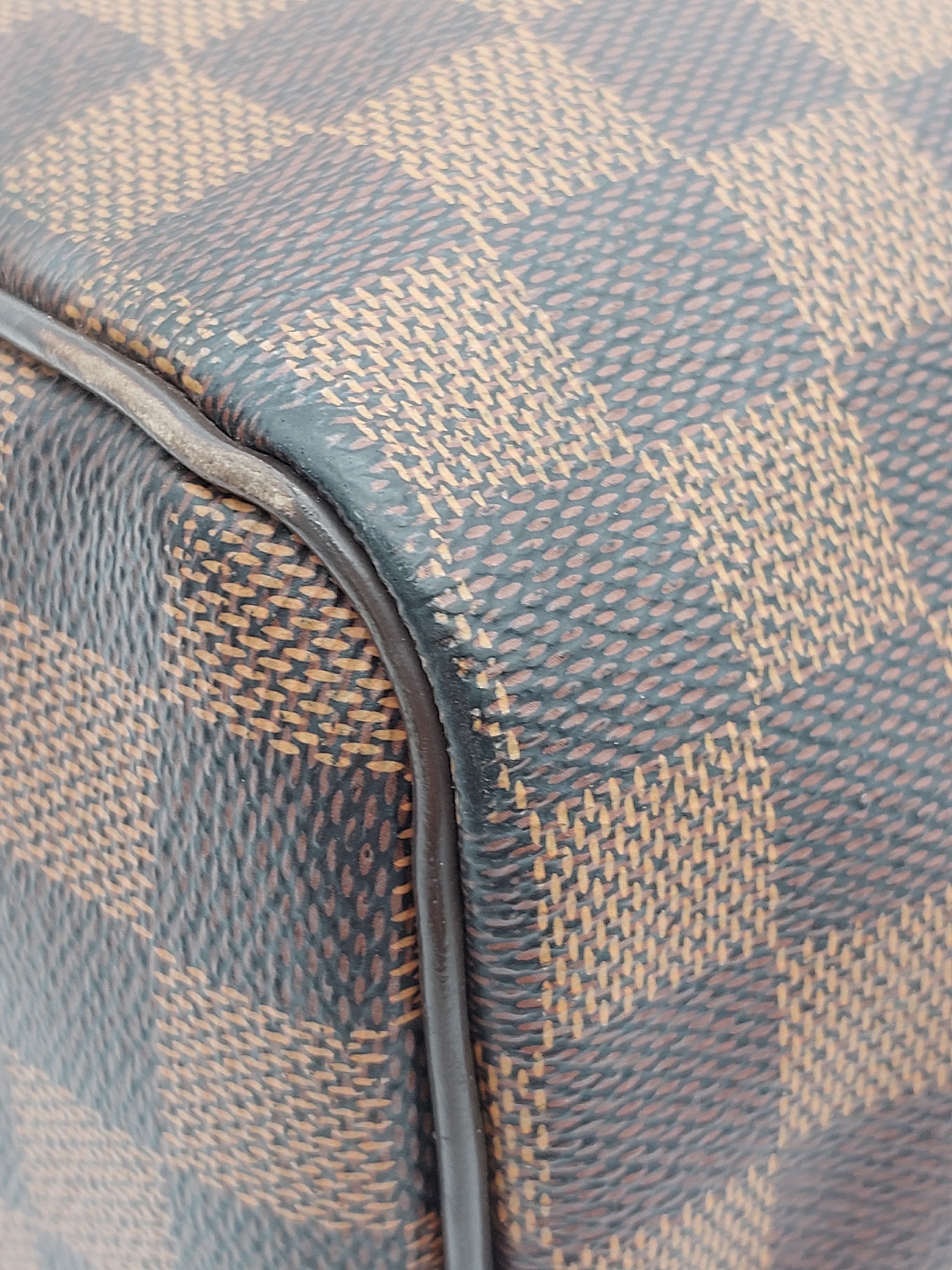 Speedy 25 Damier Ebene