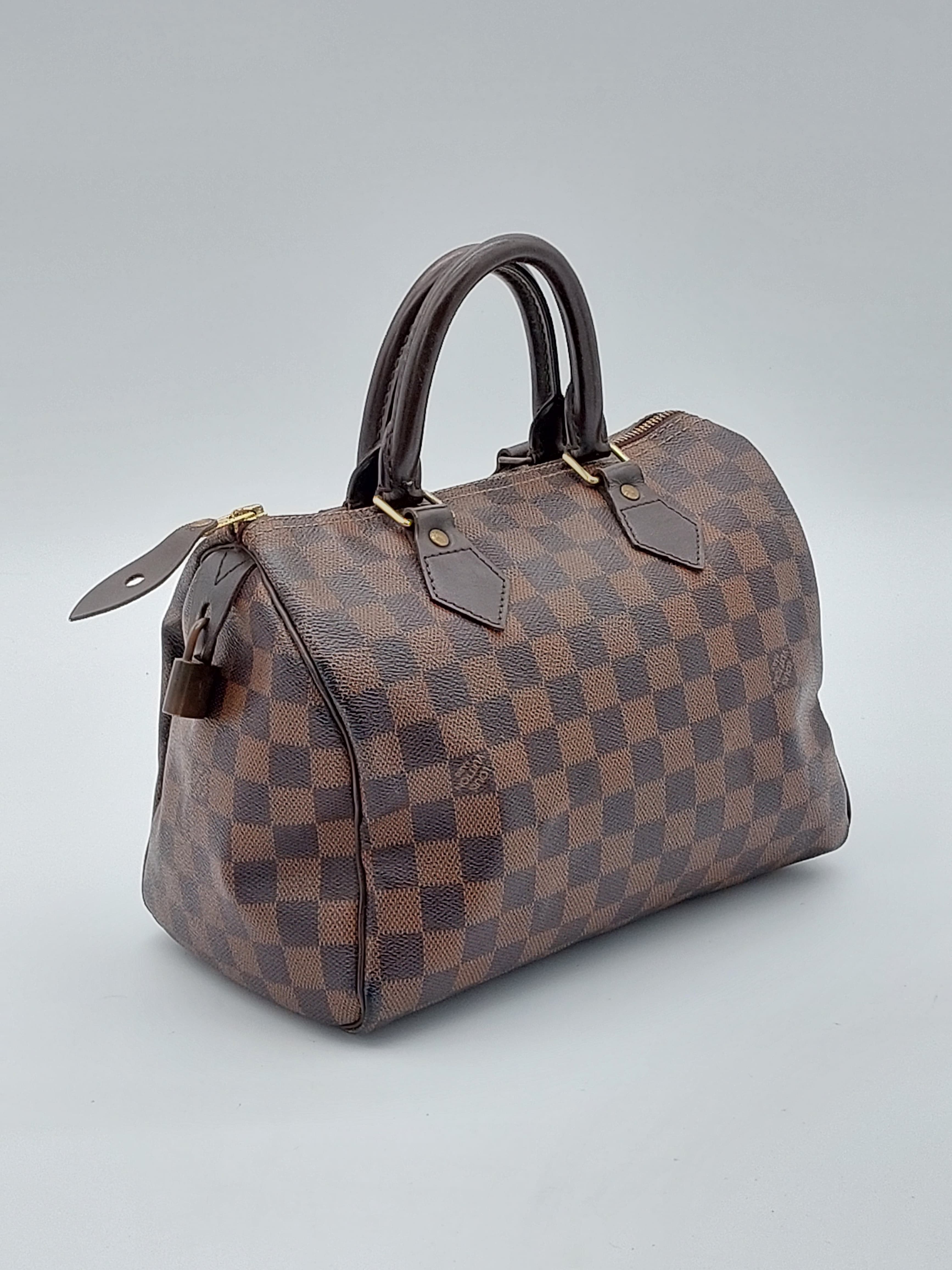 Speedy 25 Damier Ebene