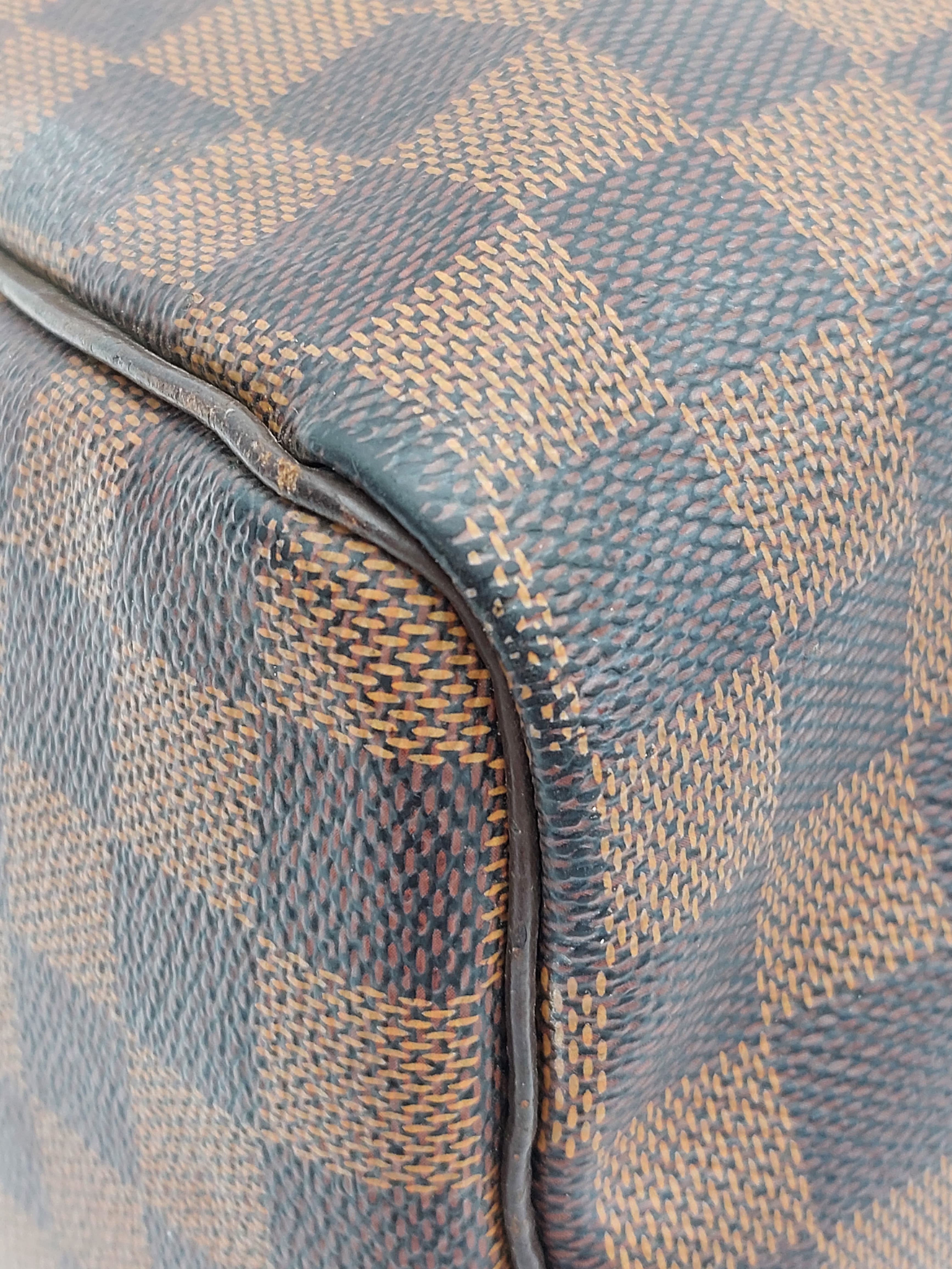 Speedy 25 Damier Ebene