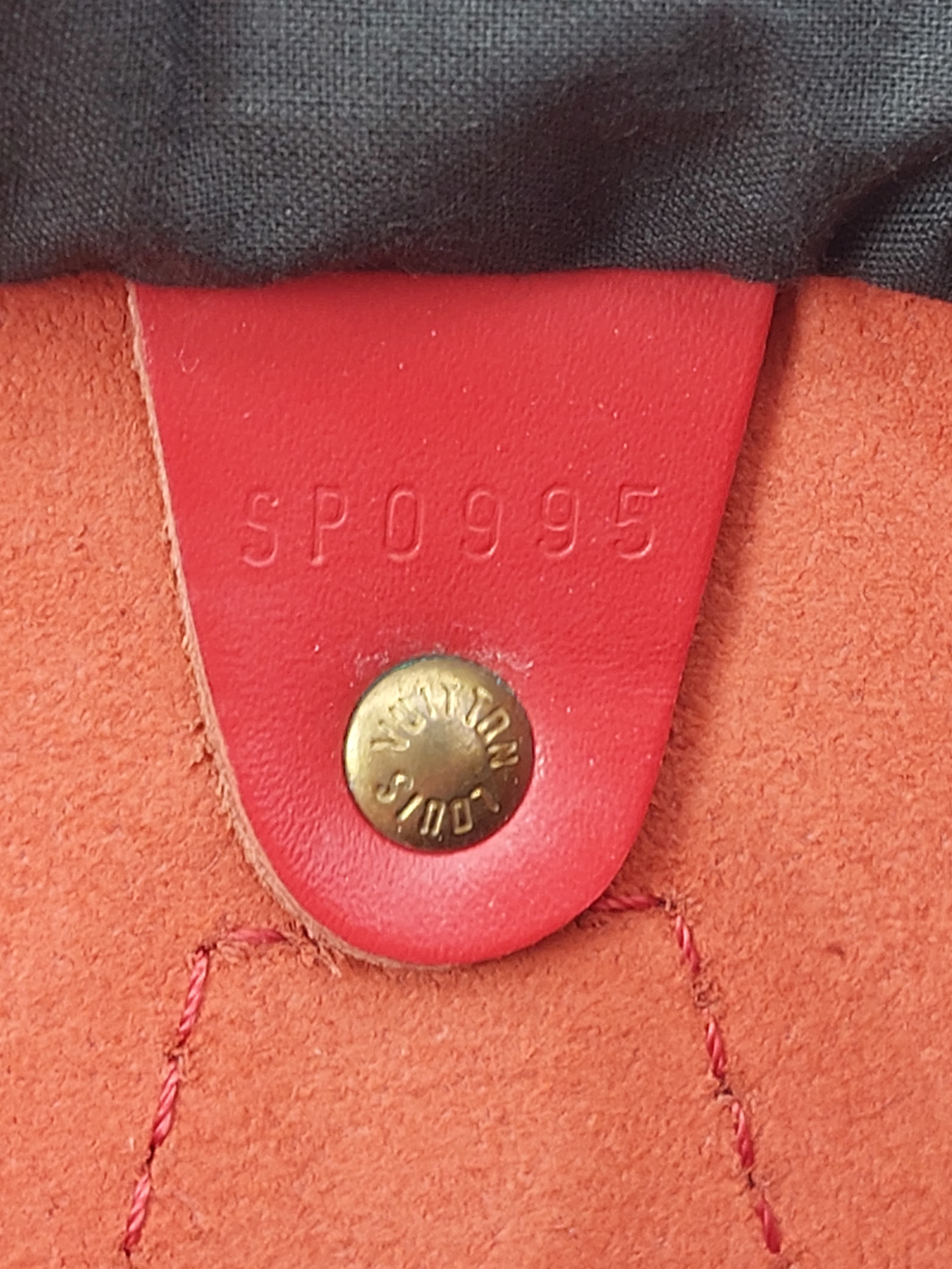 Speedy 25 Epi leather