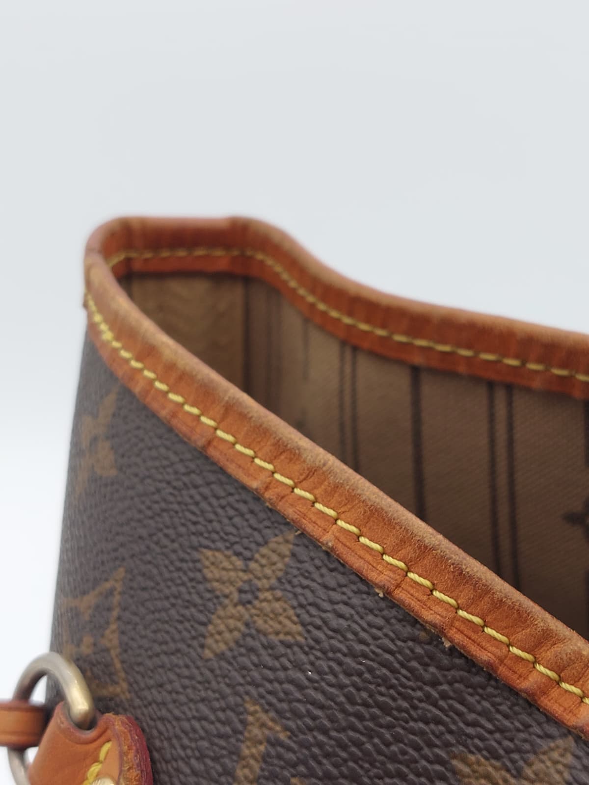 Neverfull GM
