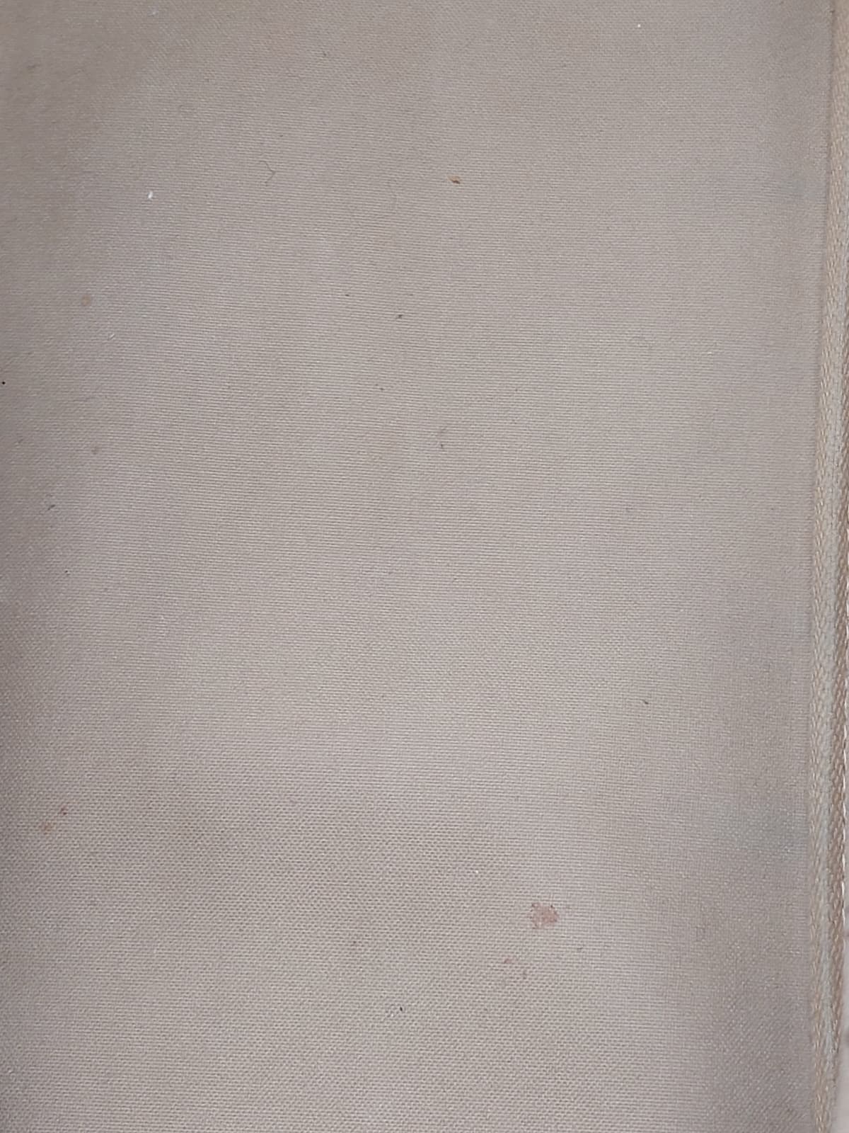 Neverfull GM