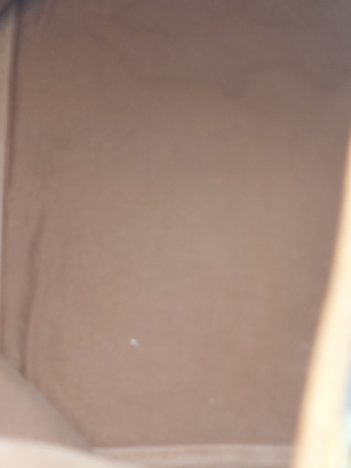 Petit Noé