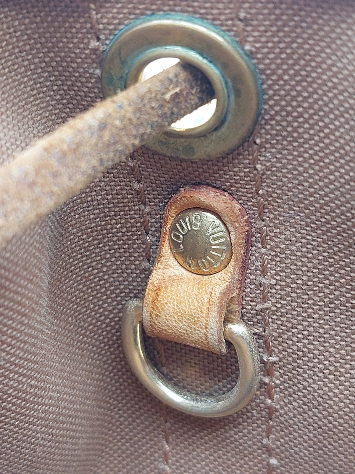 Petit Noé