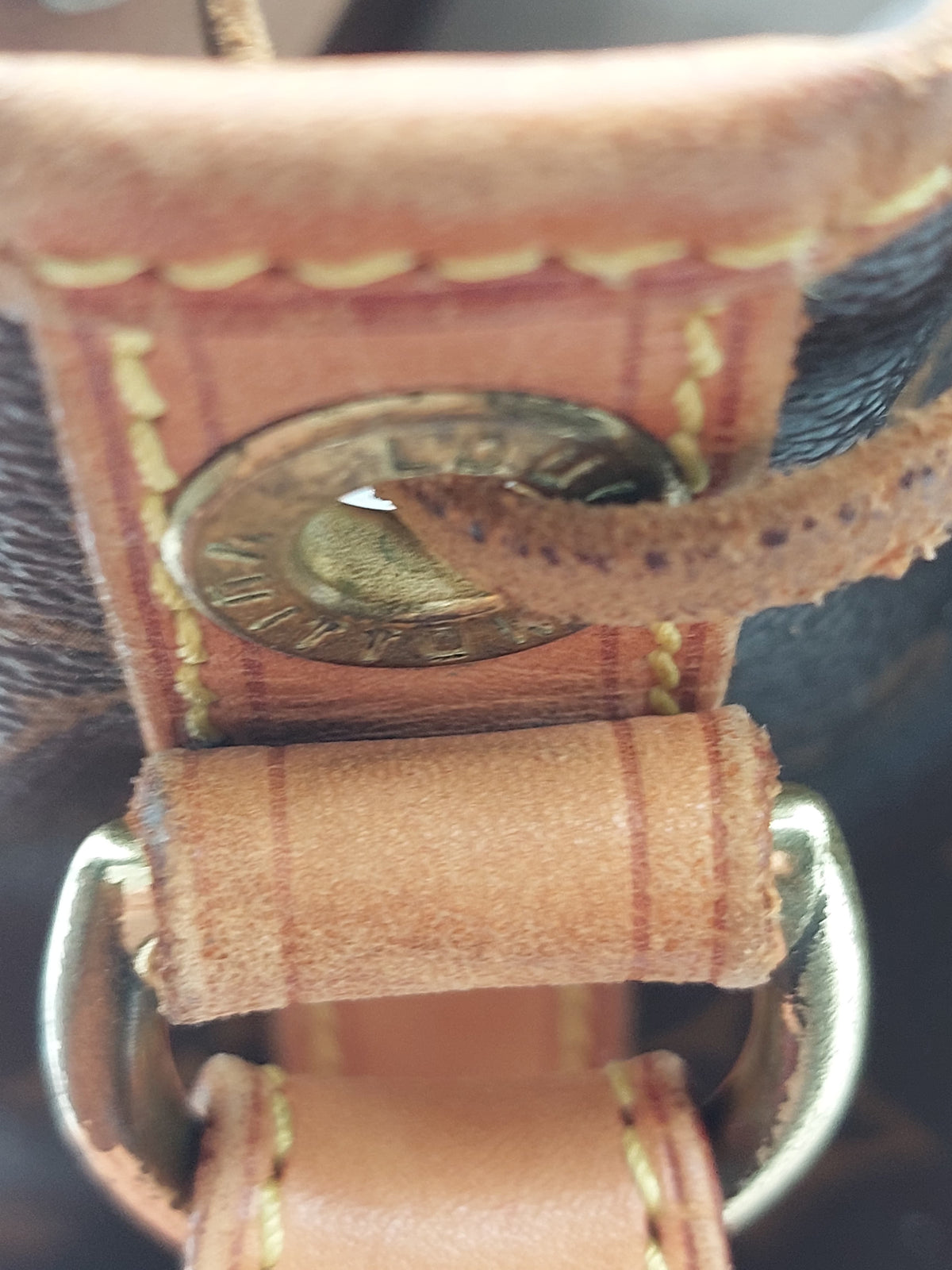 Petit Noé