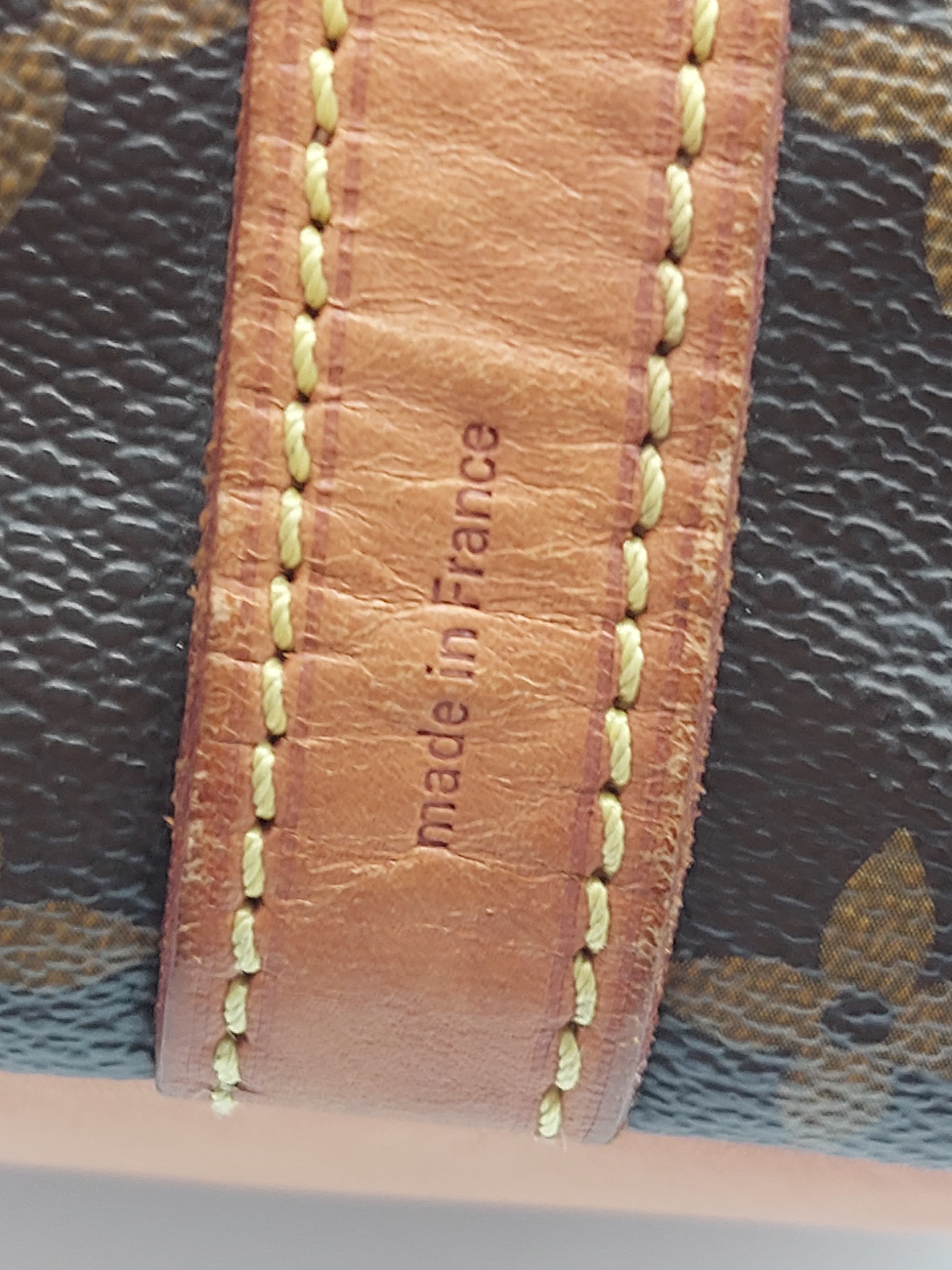 Petit Noé