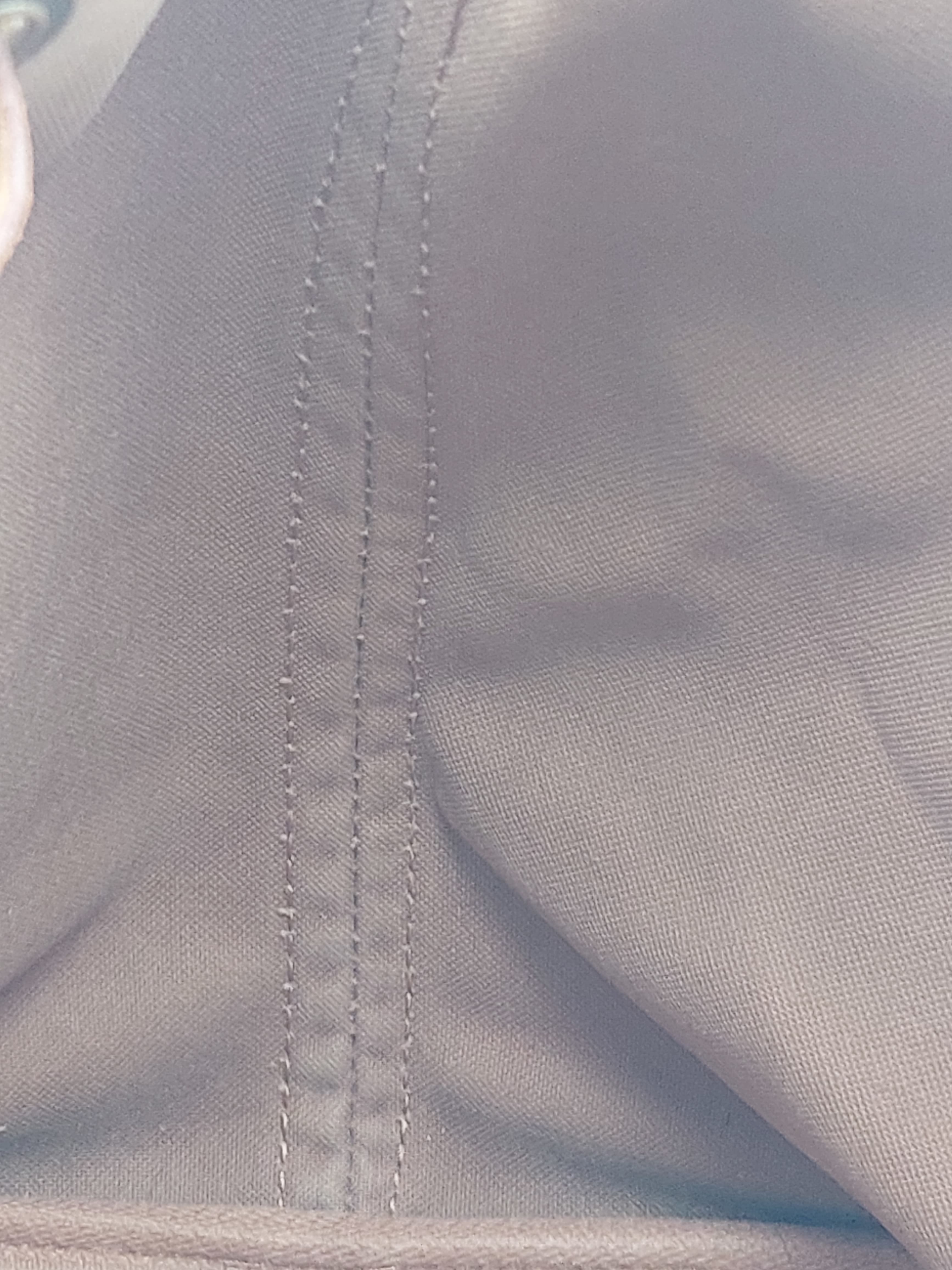 Petit Noé