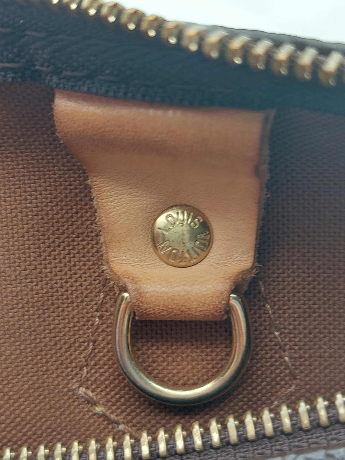 Speedy 30