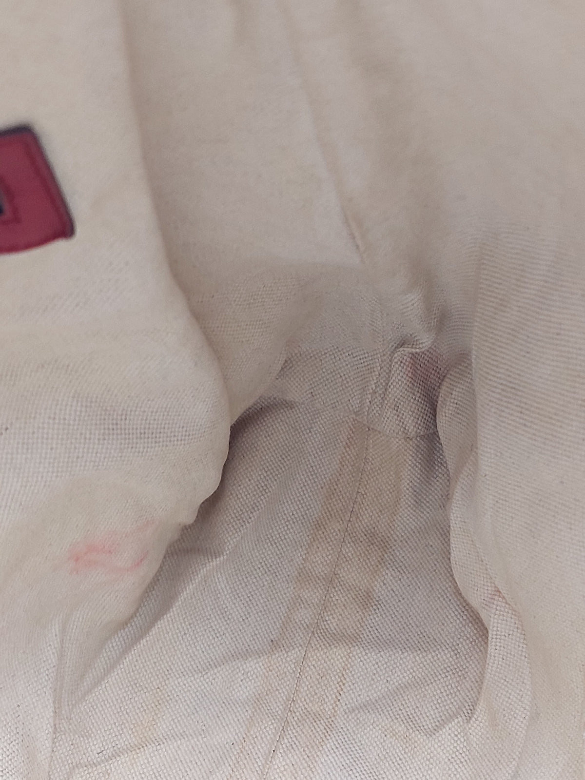 Gucci Miss GG Canvas