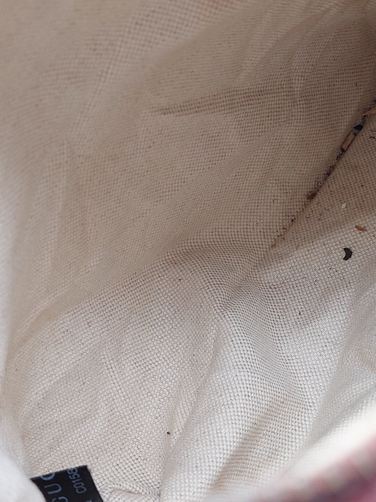 Gucci Miss GG Canvas