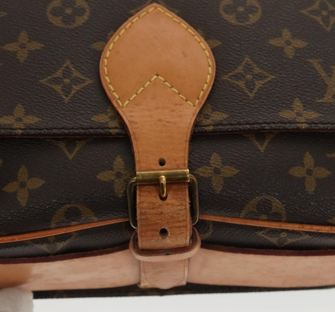 Louis Vuitton Cartouchiere MM