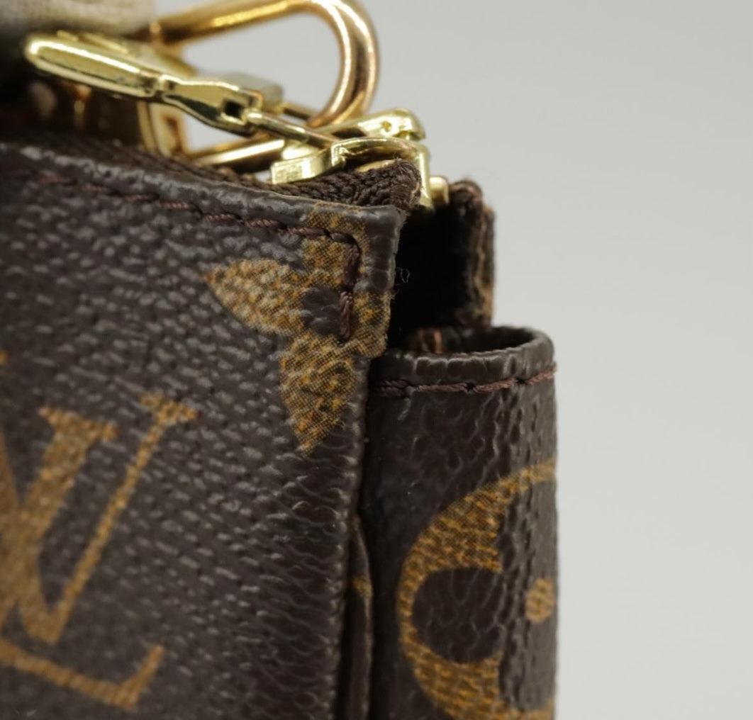 Louis Vuitton Pochette Accessoires