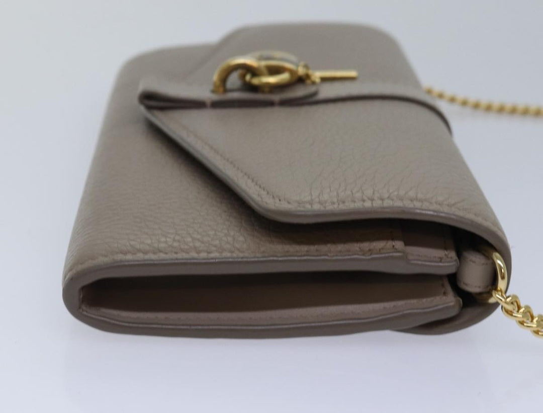 Chloe Aby Wallet on Chain